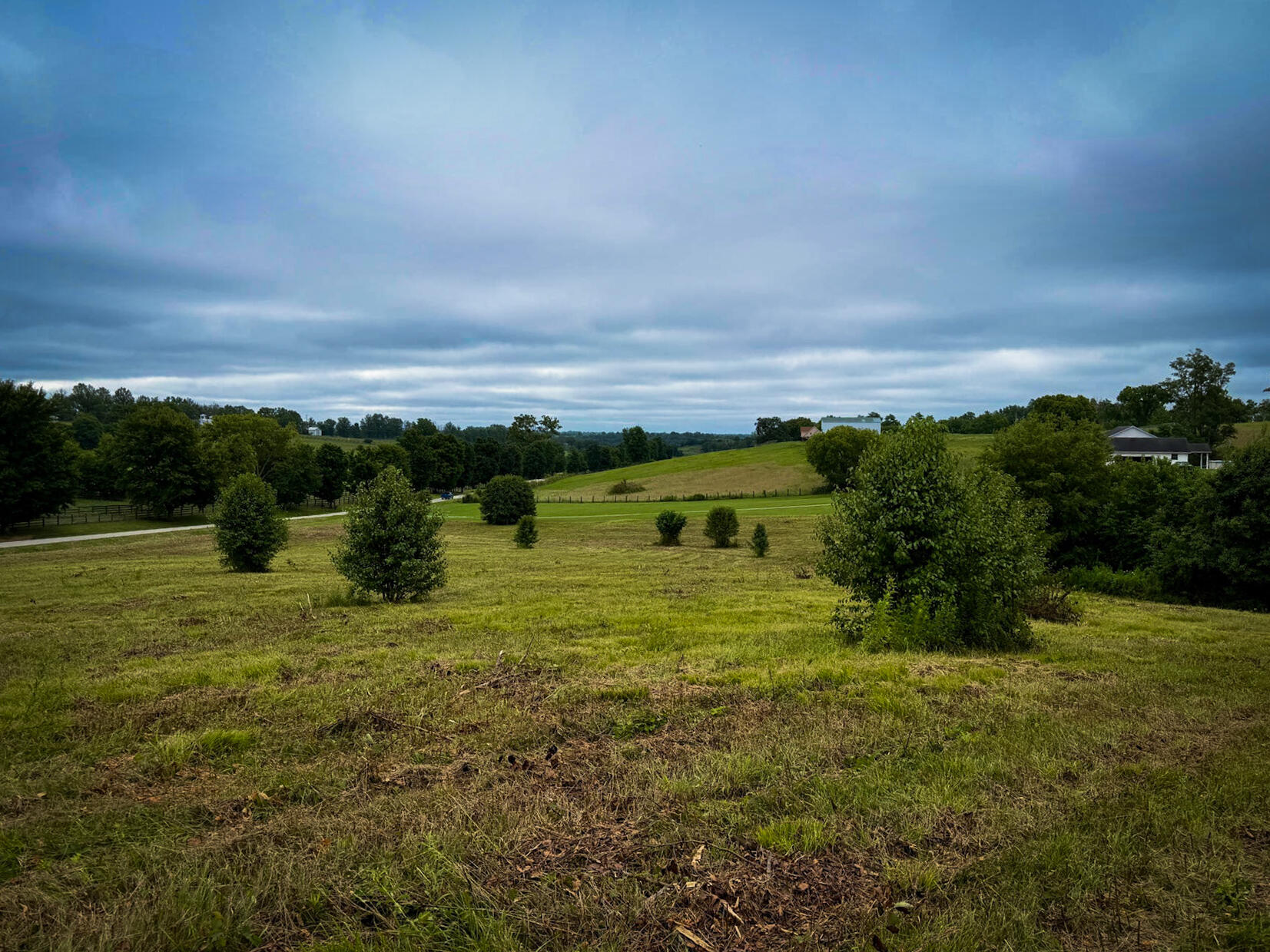 9a Walnut Grove Road Property Photo 18