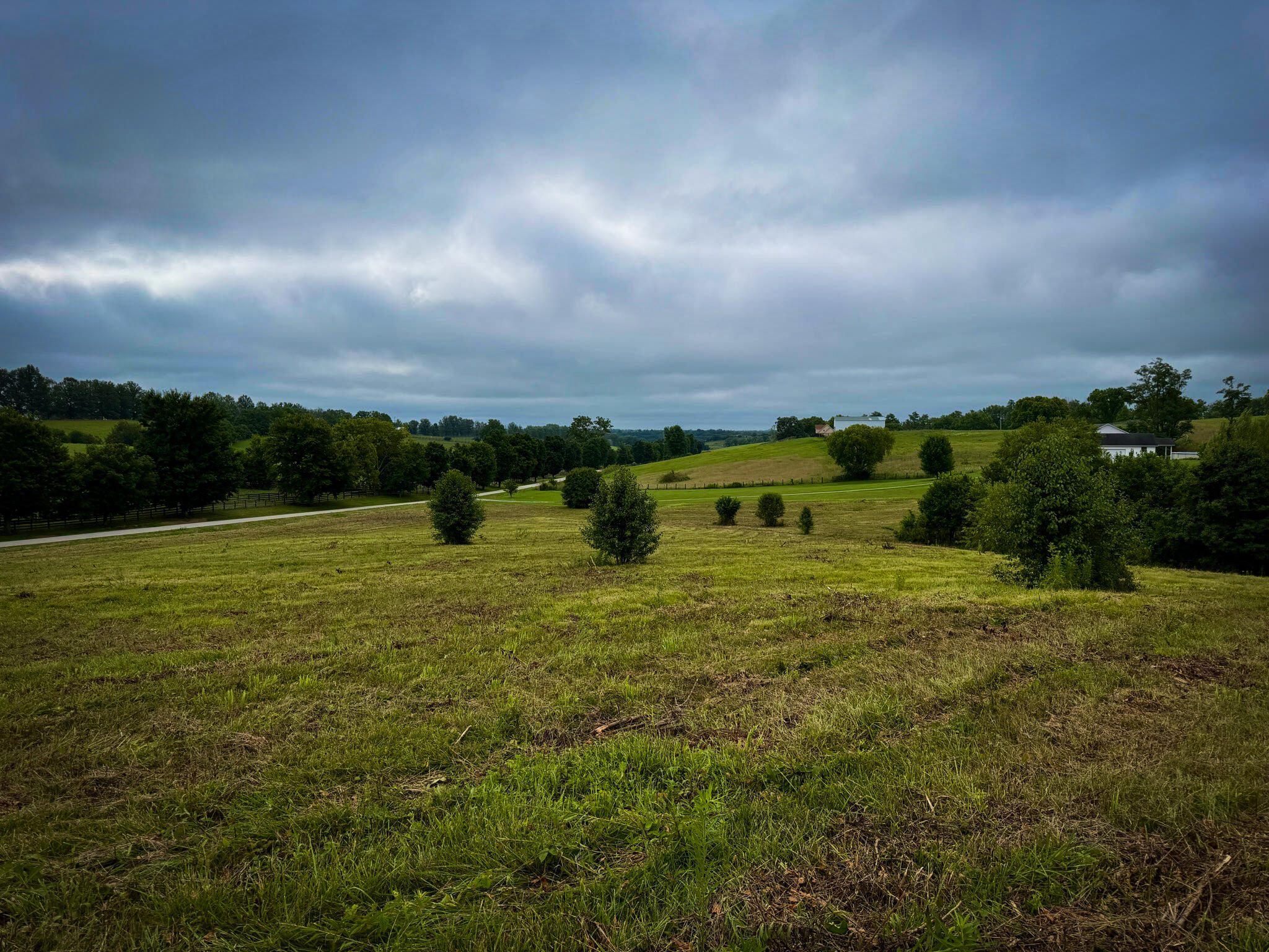9a Walnut Grove Road Property Photo 19