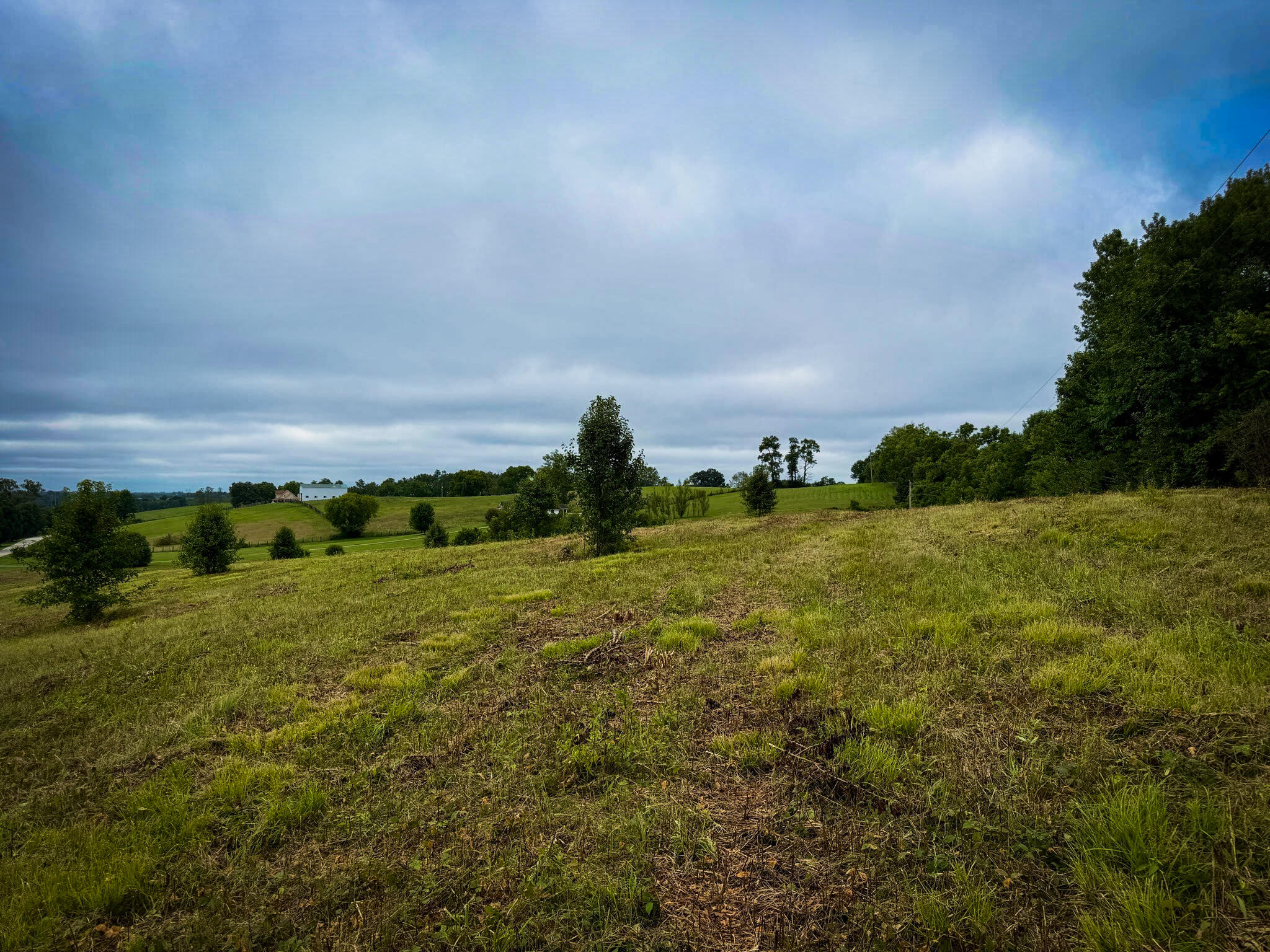 9a Walnut Grove Road Property Photo 20