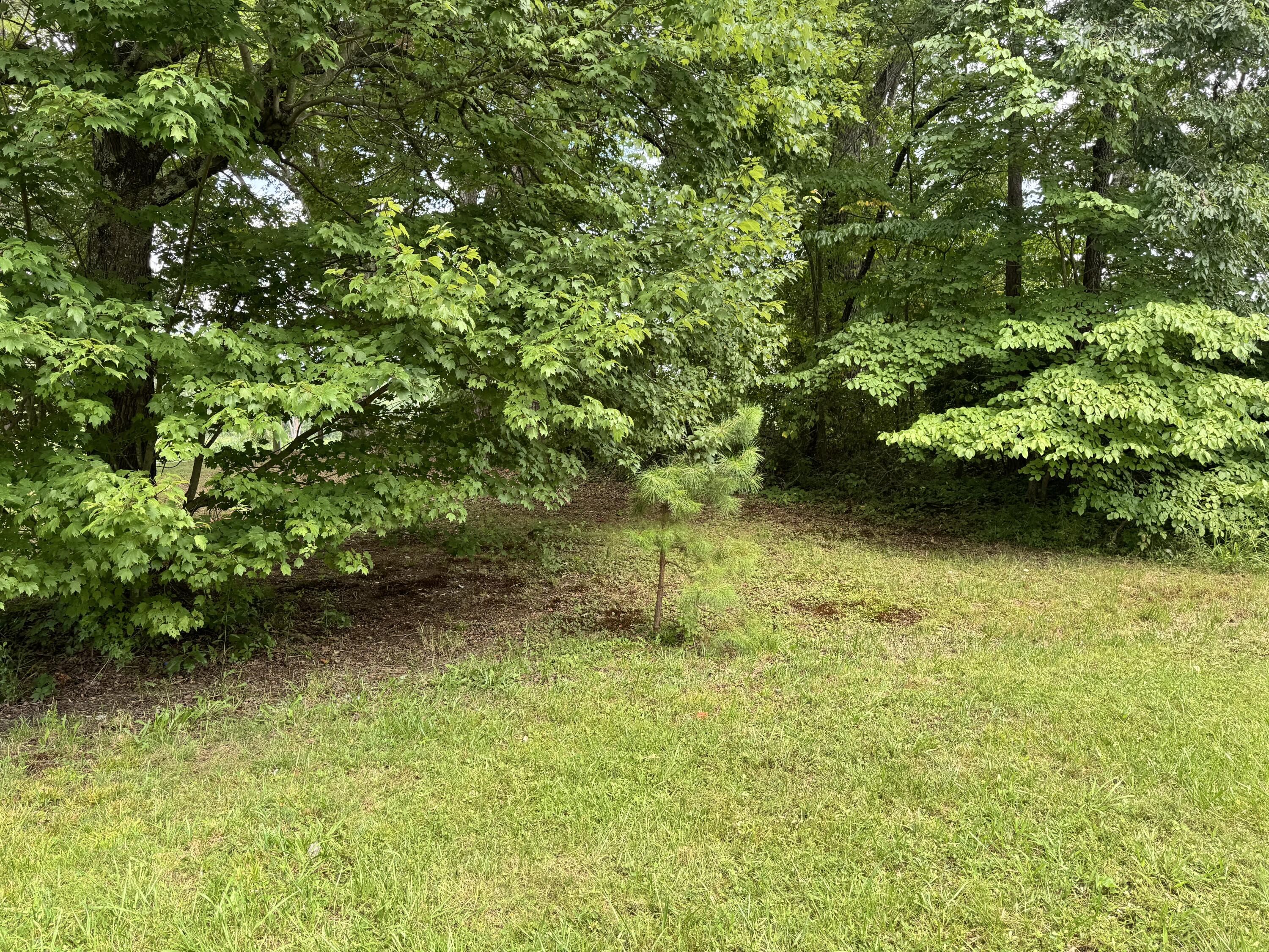 656 Barton Mill Cutoff Road Property Photo 10