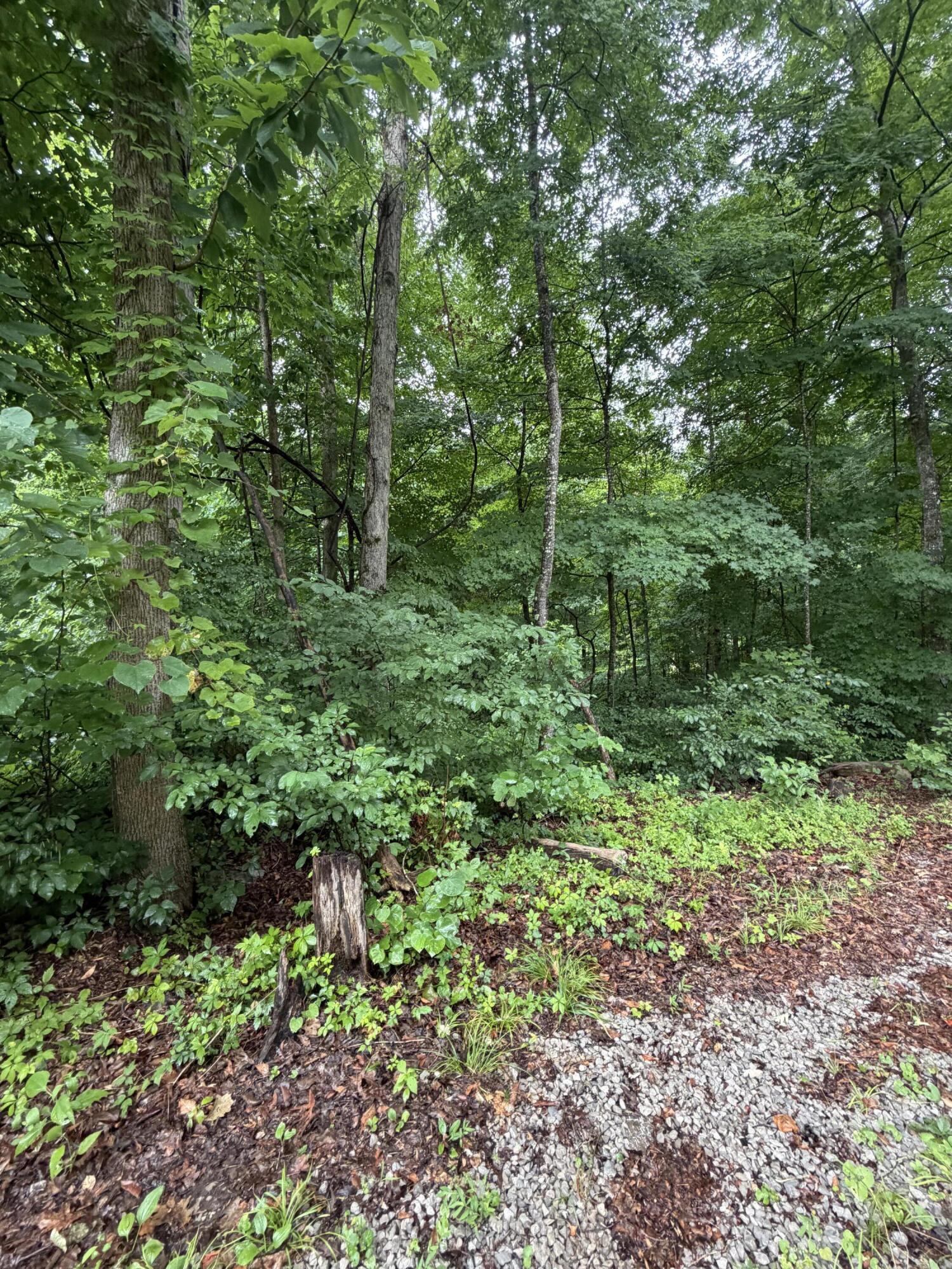 Lot 3 George Hardwick Drive Property Photo 2
