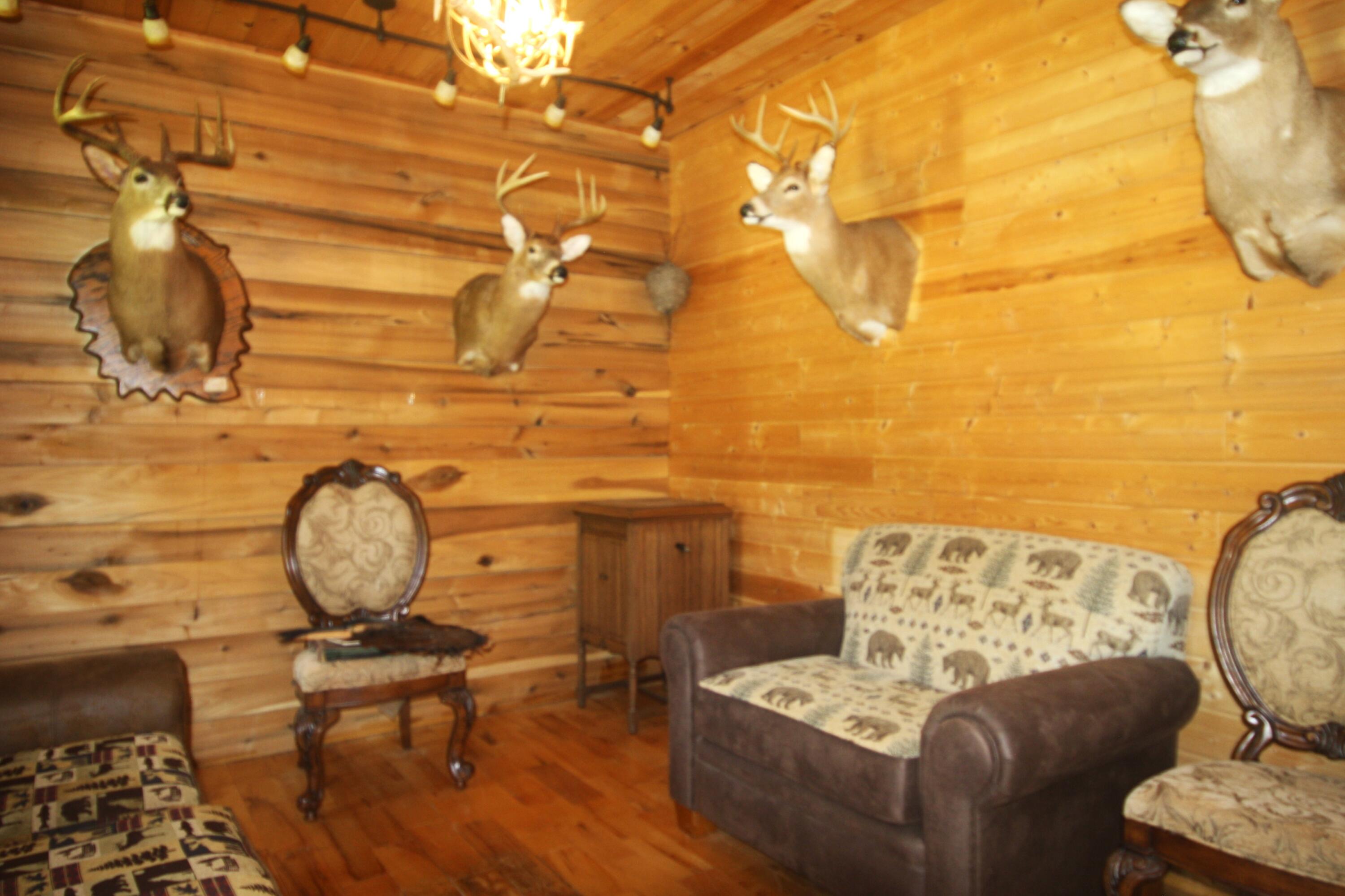 212 Mills Creek Road Property Photo 10