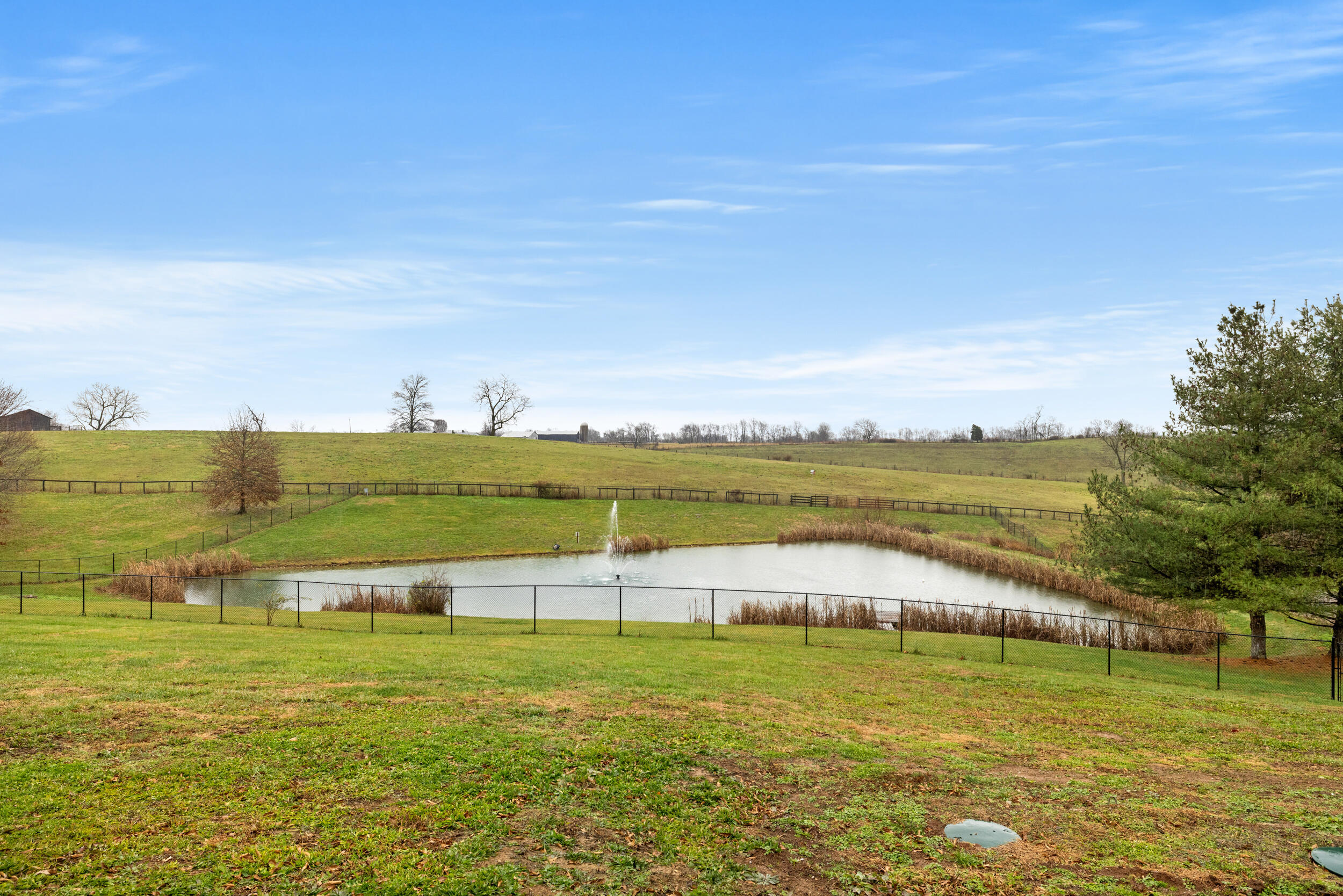 143 Royalty Drive Property Photo 38