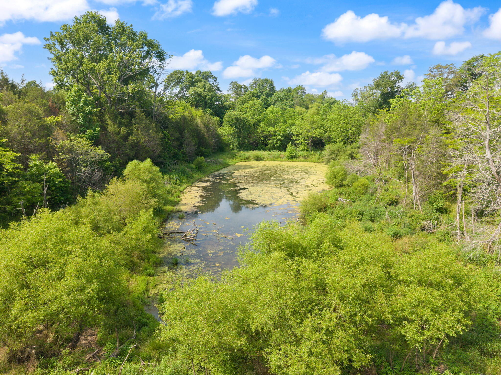 2477 Orchard Road Property Photo 57