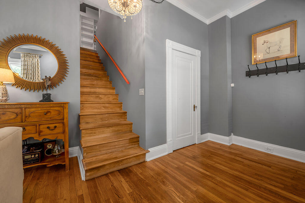 668 Elsmere Park Property Photo 6