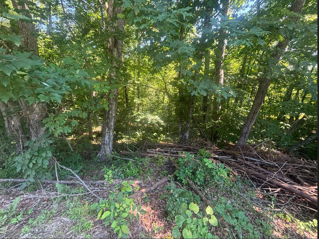 9999 Roberts Bend Road Property Photo 2