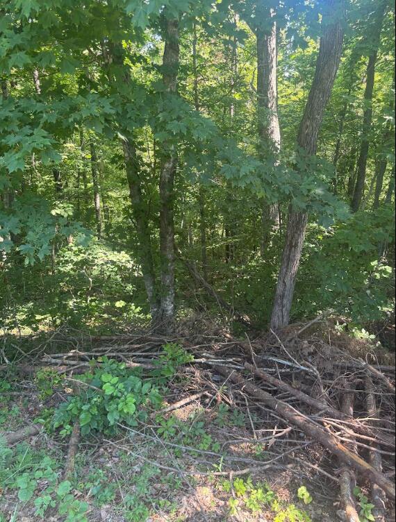 9999 Roberts Bend Road Property Photo 3