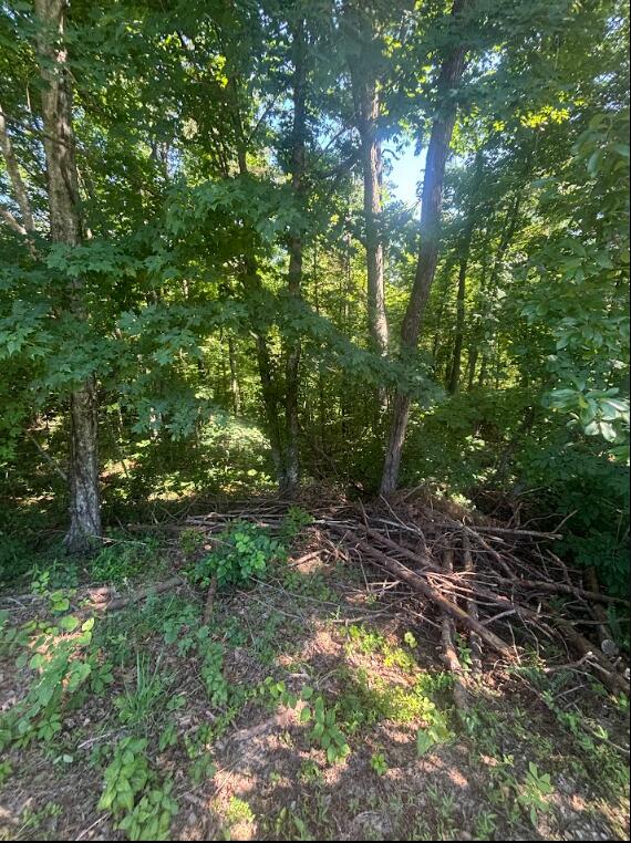 9999 Roberts Bend Road Property Photo 4