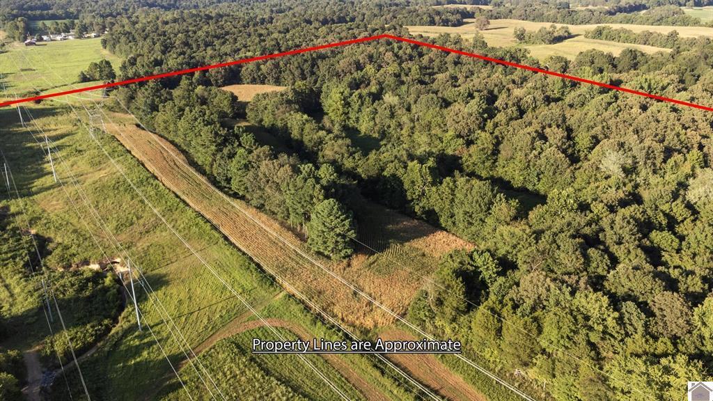 54-00-00-077.01 Briensburg Tatumsville Road Property Photo 11
