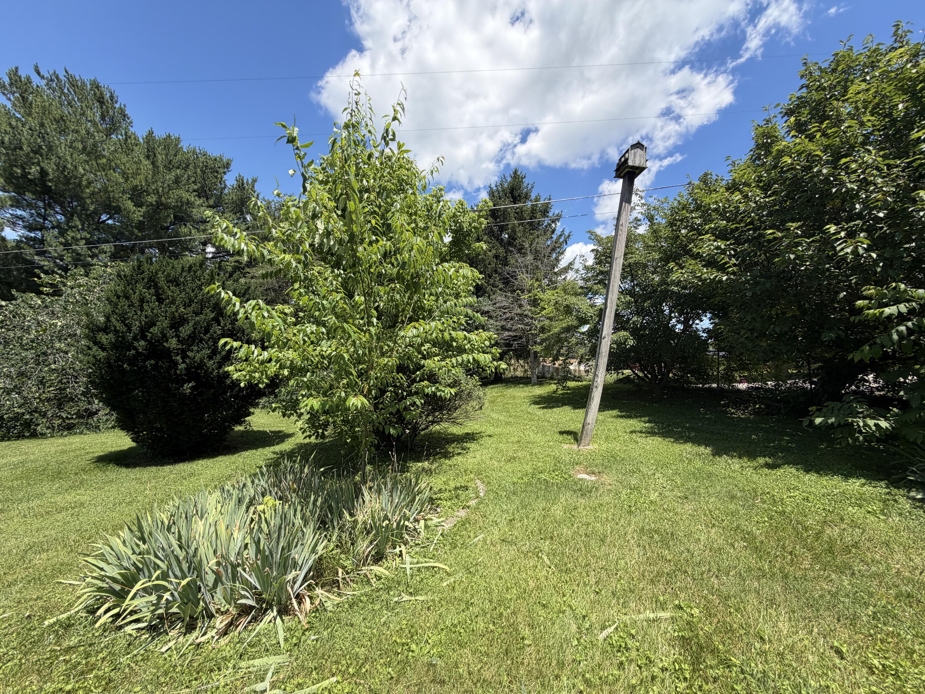 303 Freedom School Road Property Photo 11