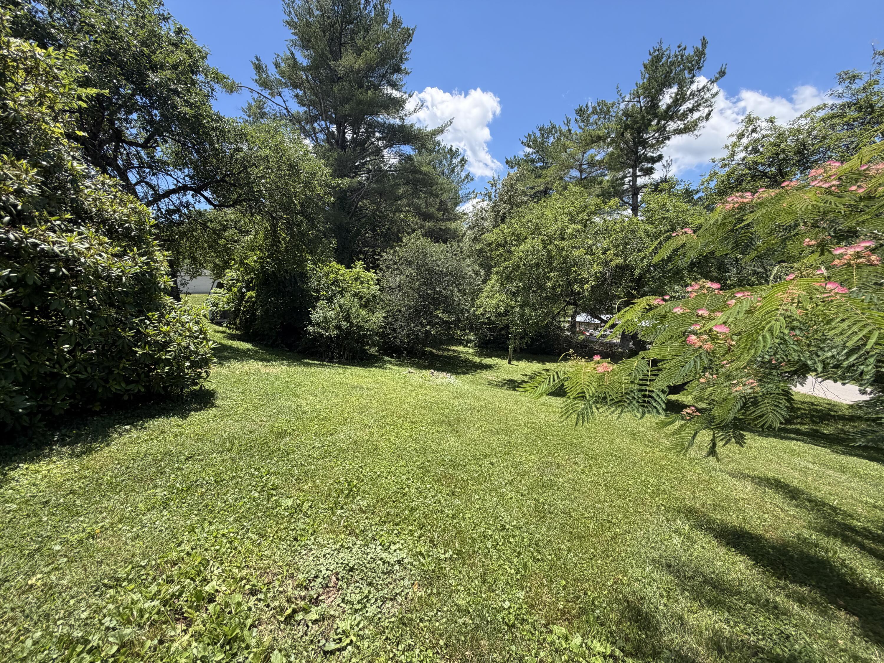 303 Freedom School Road Property Photo 17