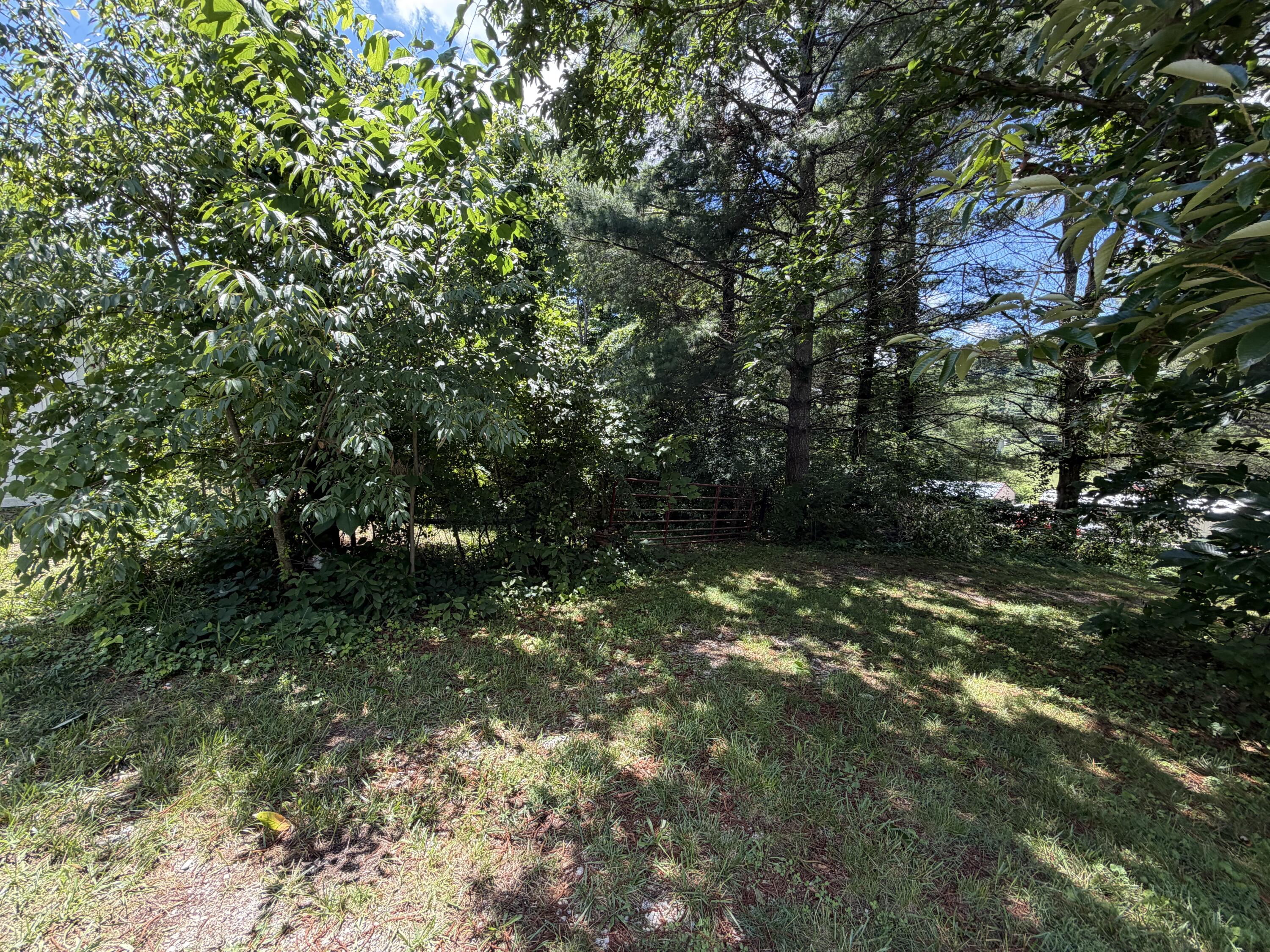 303 Freedom School Road Property Photo 35