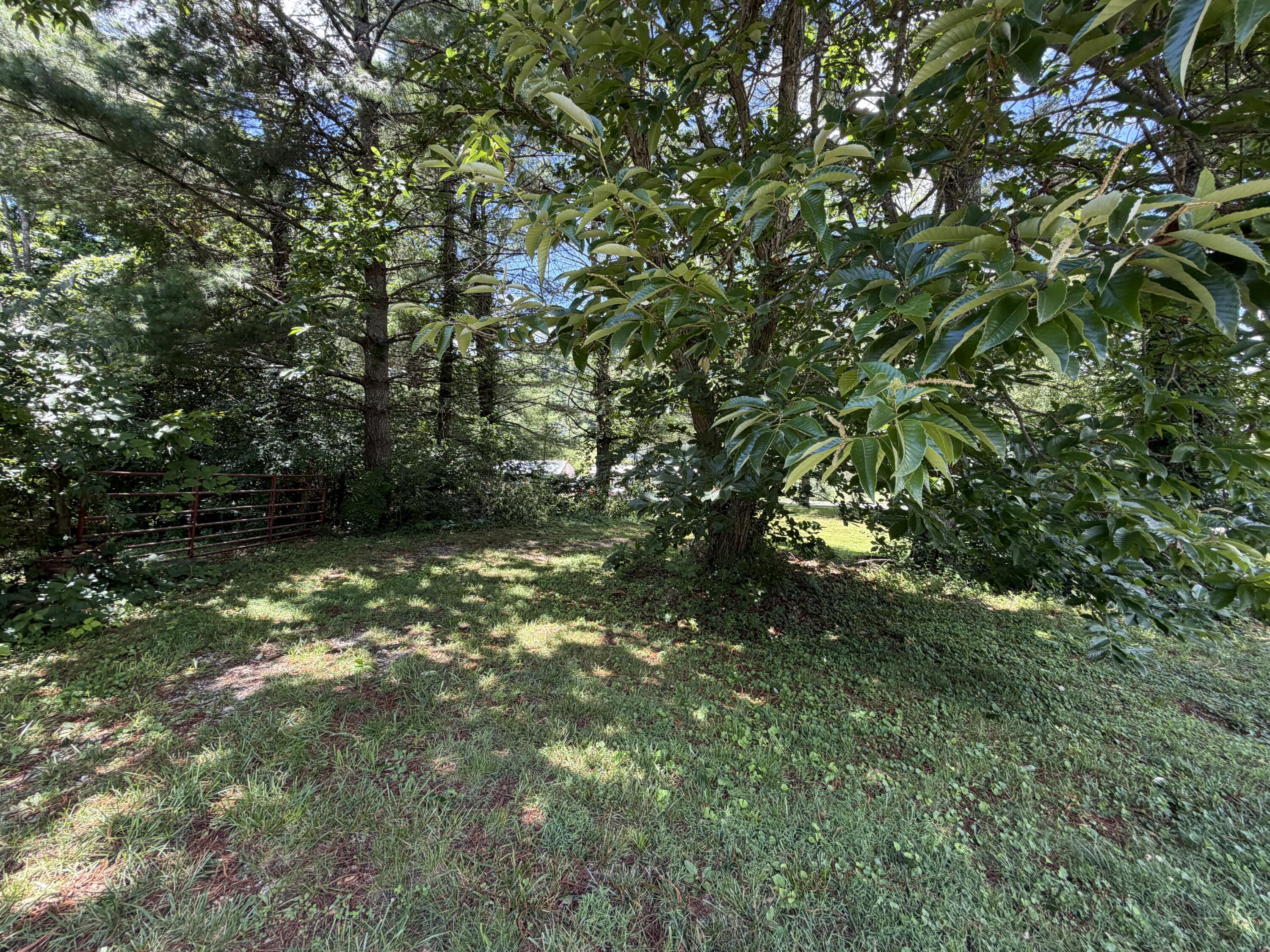 303 Freedom School Road Property Photo 36