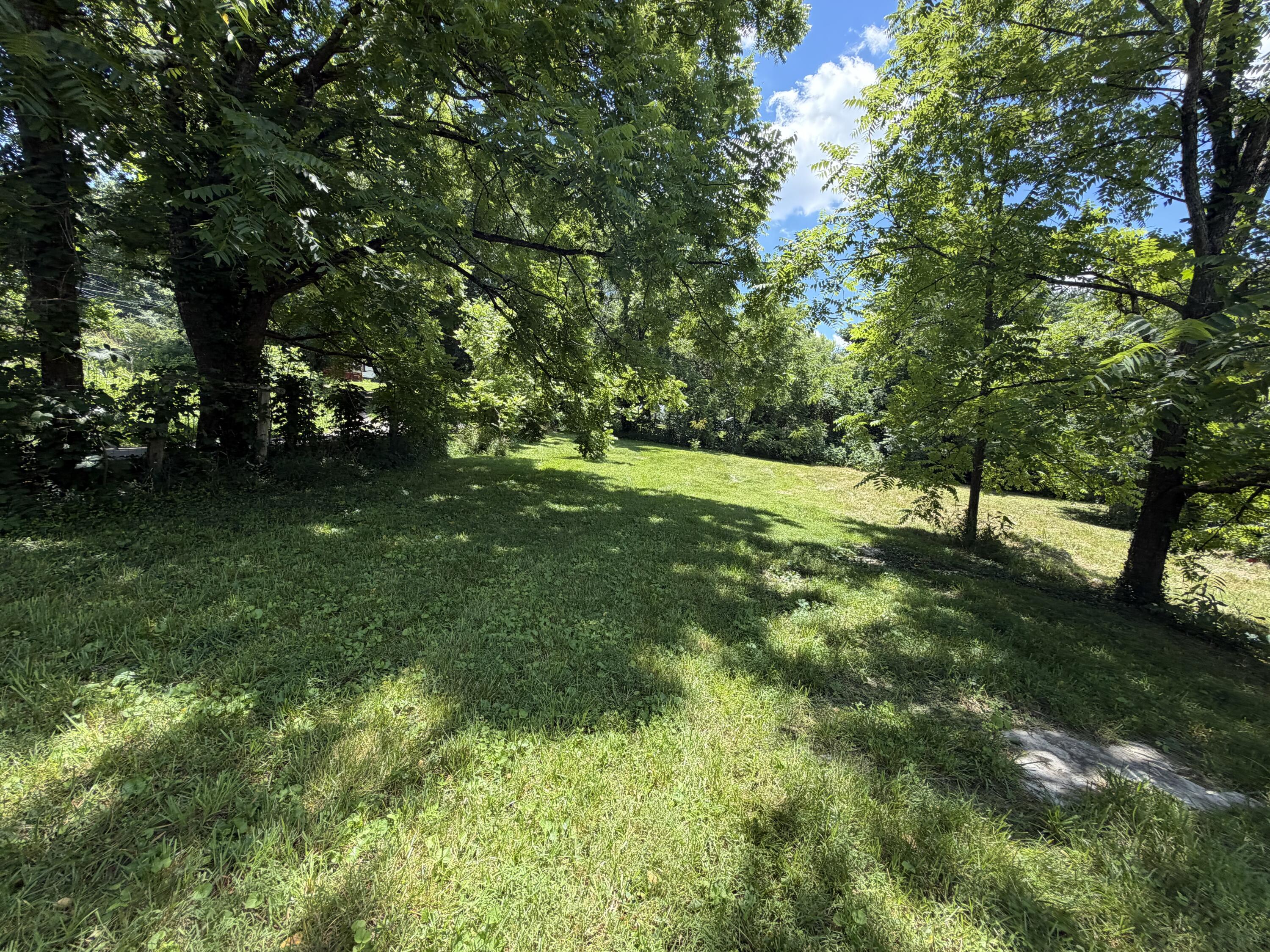 303 Freedom School Road Property Photo 53
