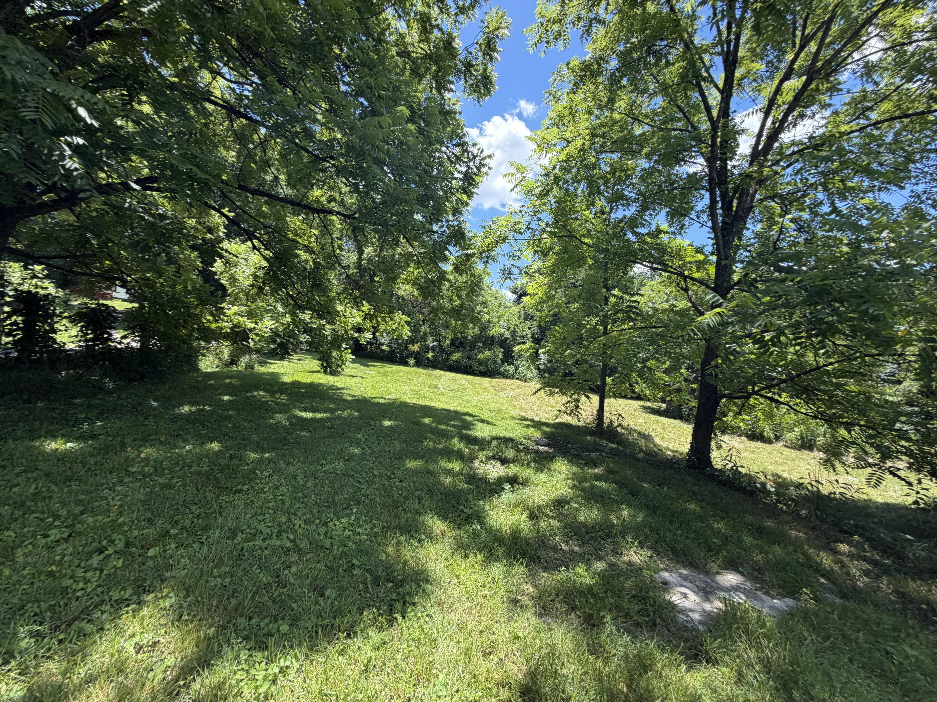 303 Freedom School Road Property Photo 54