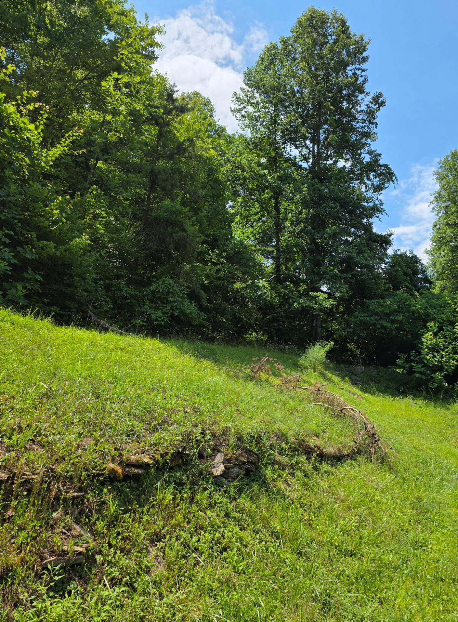 19 Harlan Lane Property Photo 1