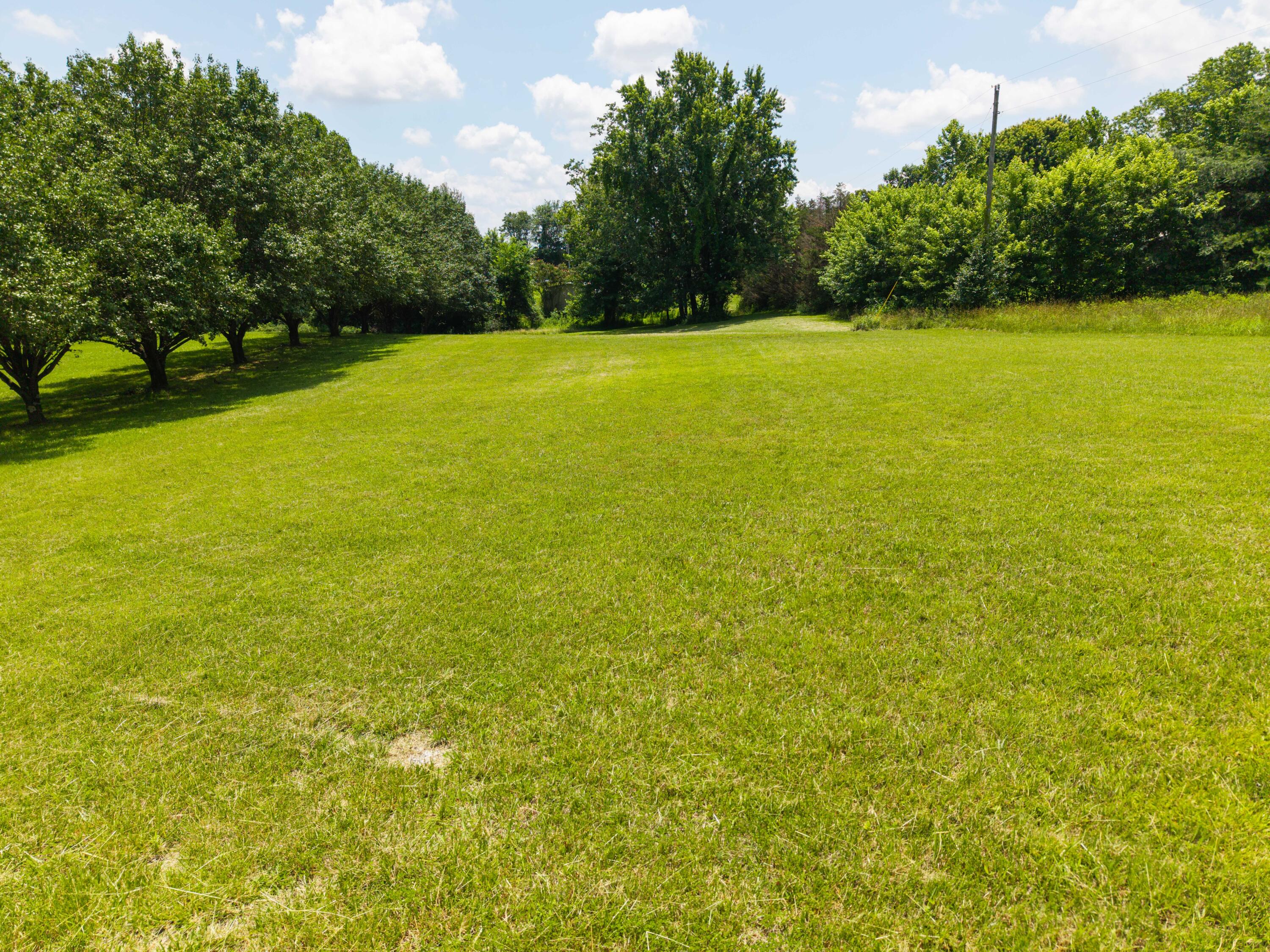 80 William Court Property Photo 49
