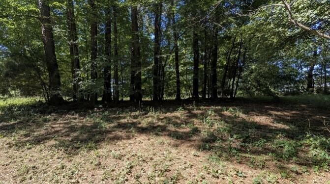 237 Hugh Hunter Road Property Photo 4