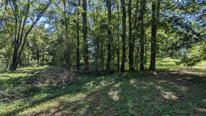 237 Hugh Hunter Road Property Photo 5