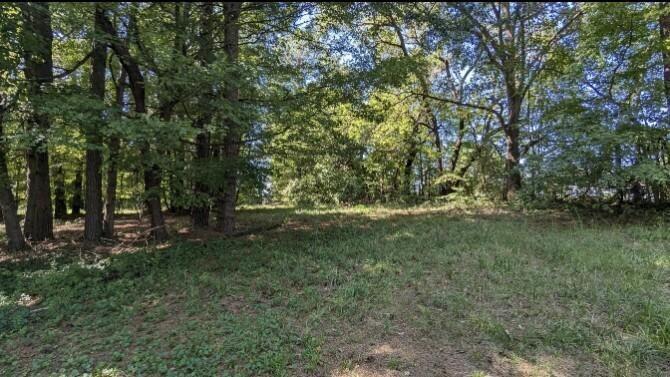 237 Hugh Hunter Road Property Photo 6
