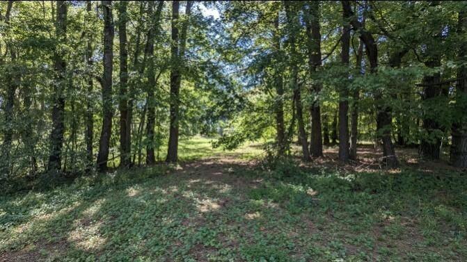 237 Hugh Hunter Road Property Photo 7