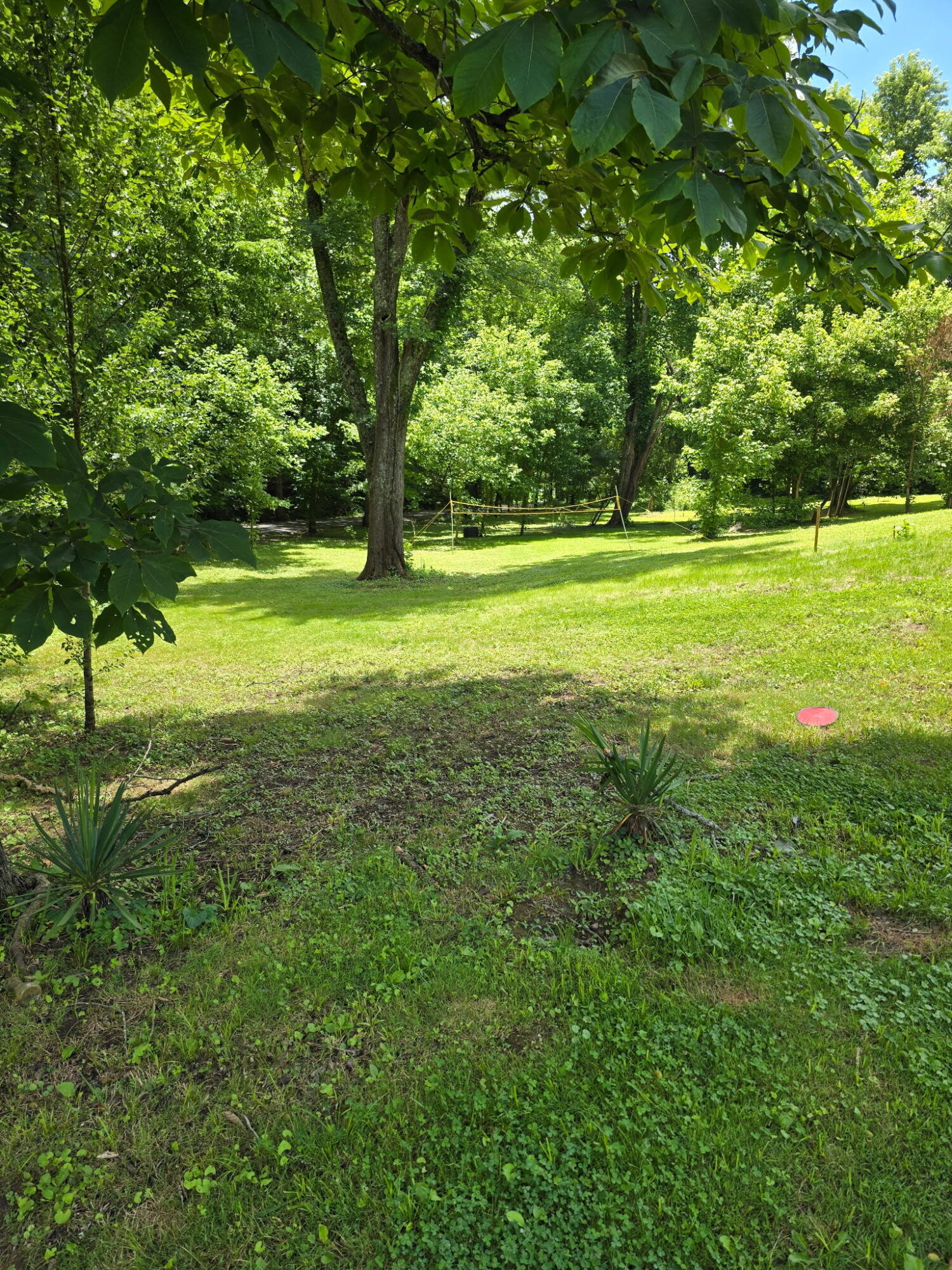 377 Gravy Branch Road Property Photo 38