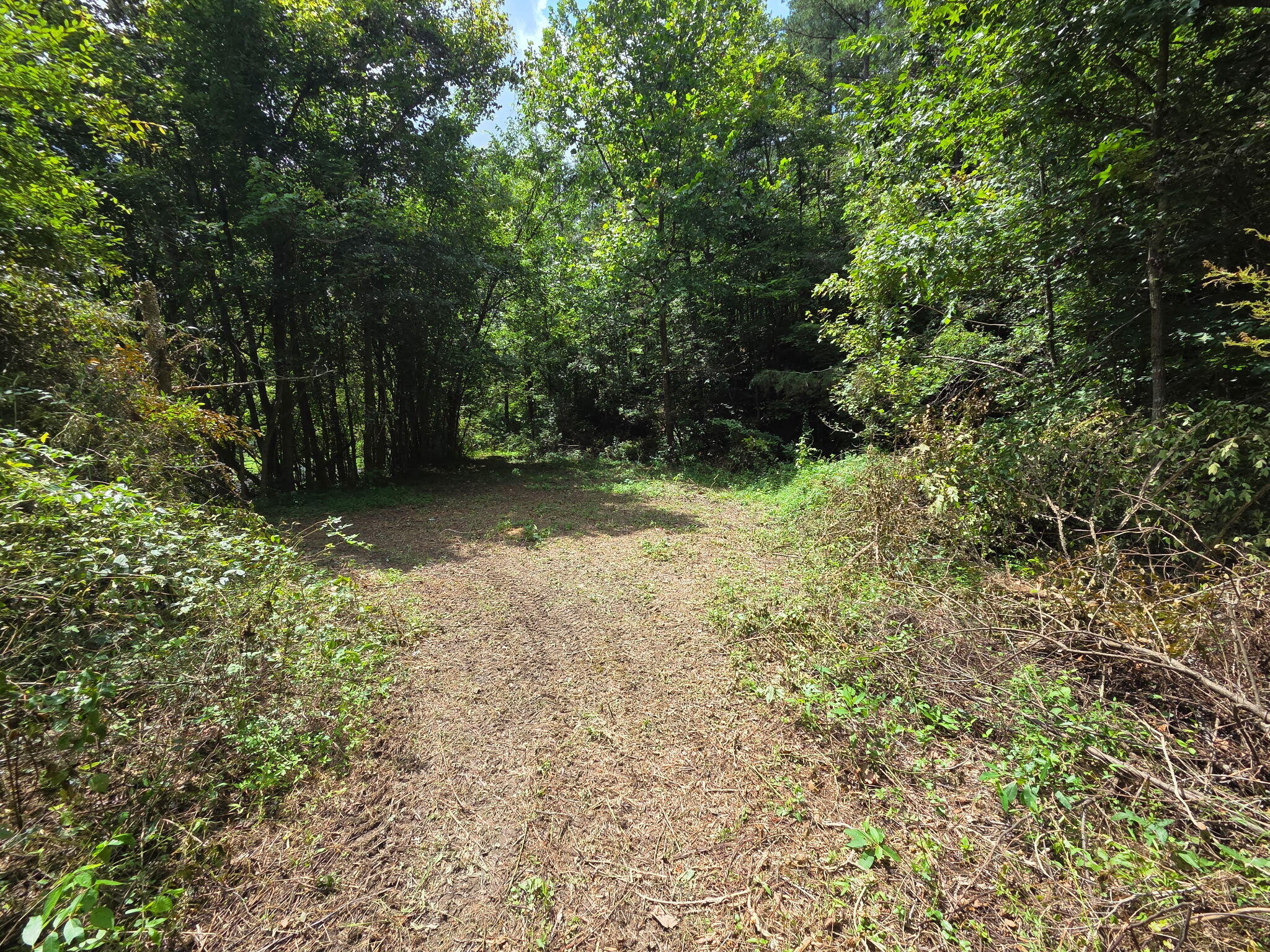 377 Gravy Branch Road Property Photo 45