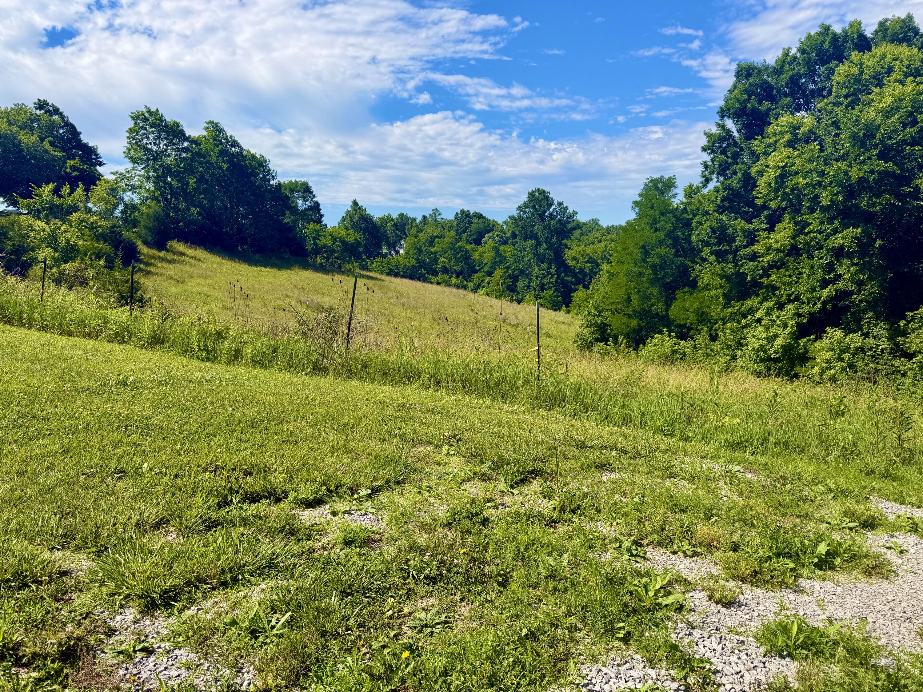 6715 Georgetown Road Property Photo 2