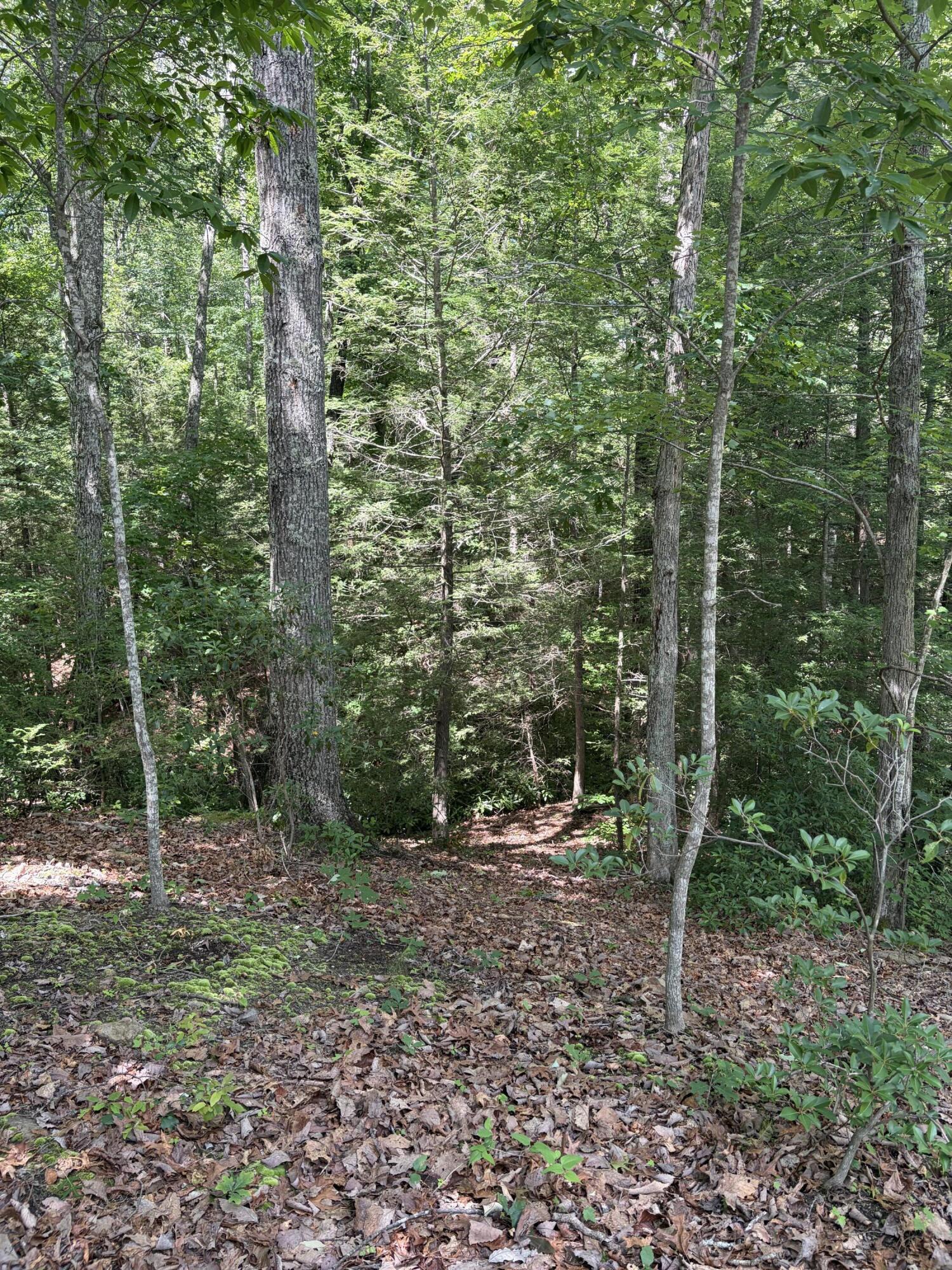 100 Cowboy Lane Property Photo 34