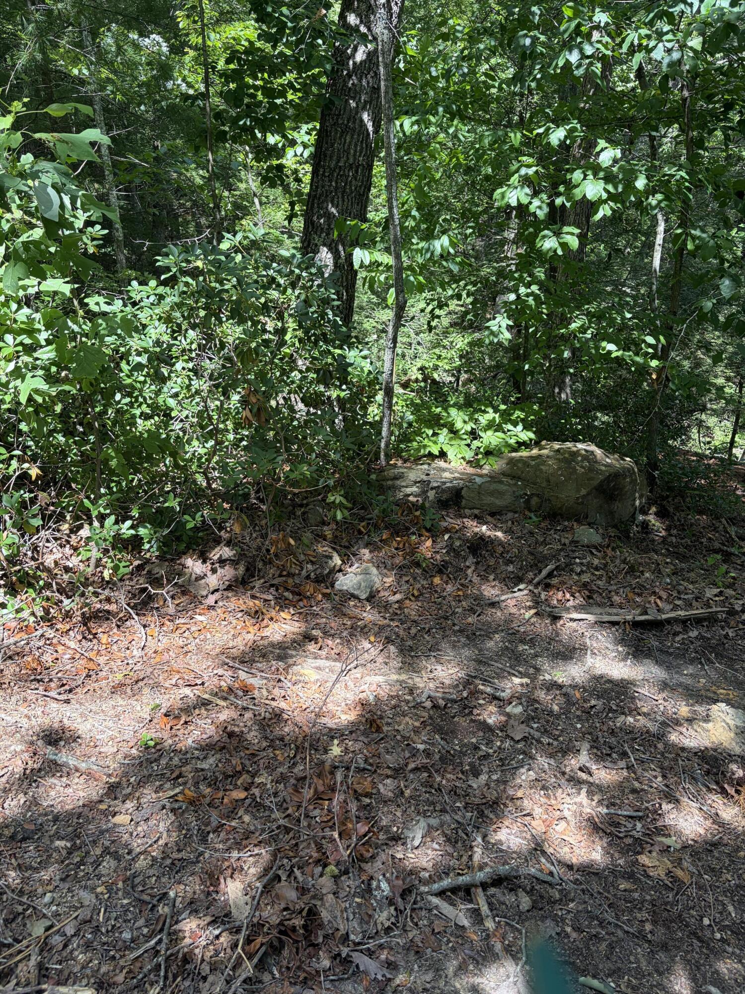 100 Cowboy Lane Property Photo 35