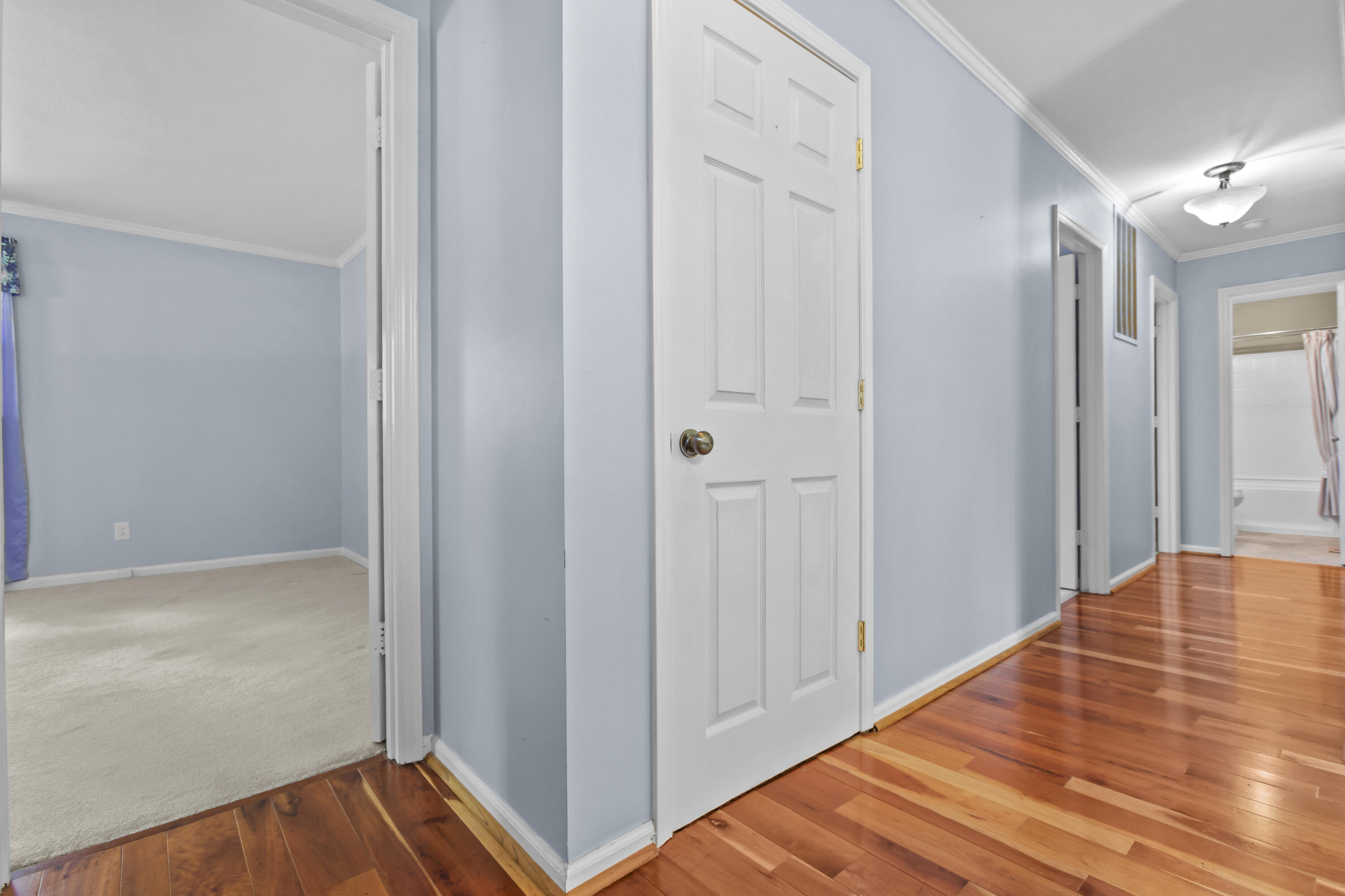 839 Springhill Lane Property Photo 10