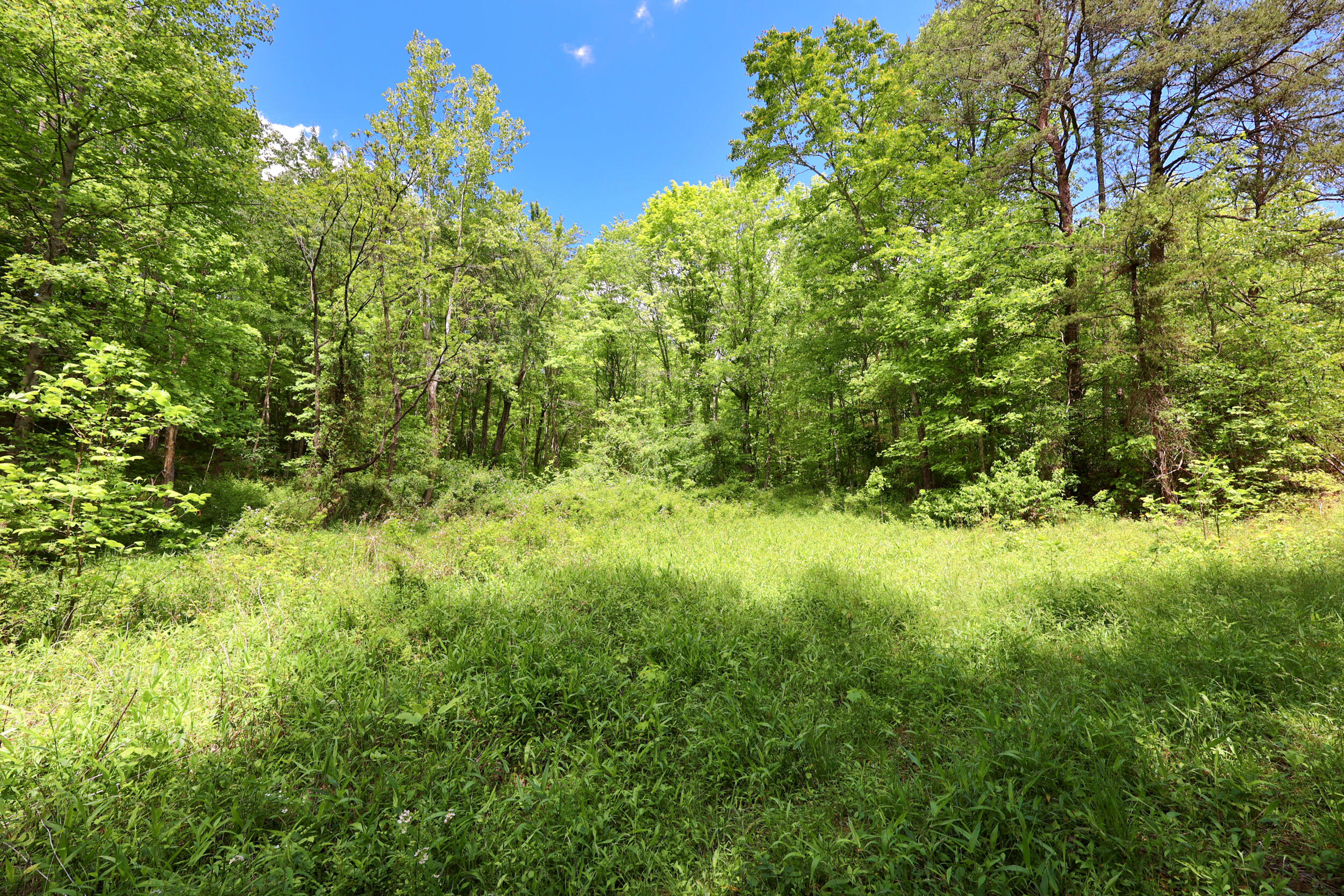 9999 Long Branch Road Property Photo 8
