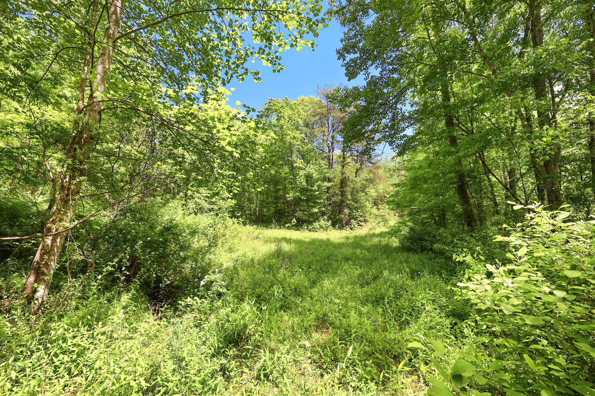 9999 Long Branch Road Property Photo 9