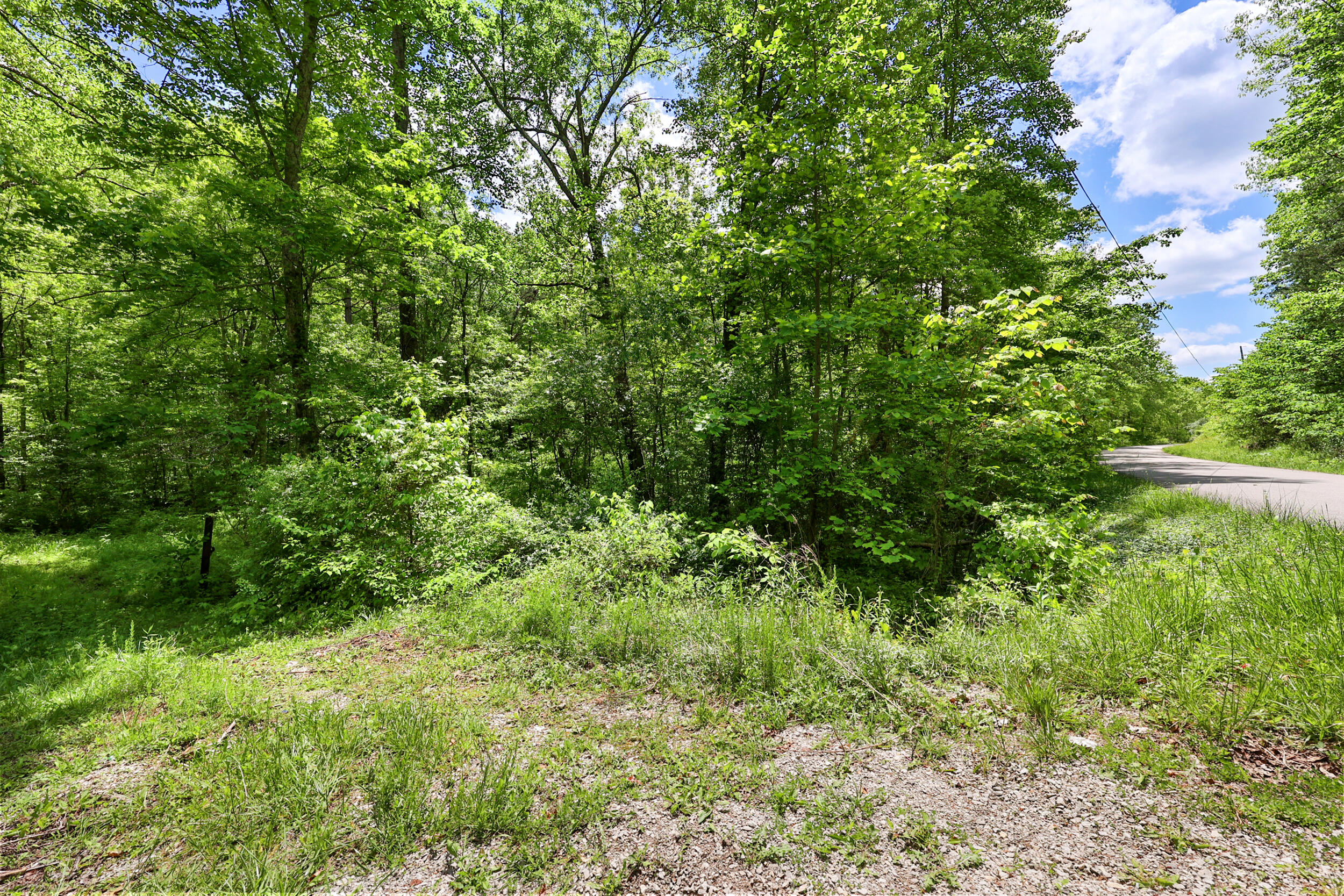 9999 Long Branch Road Property Photo 16