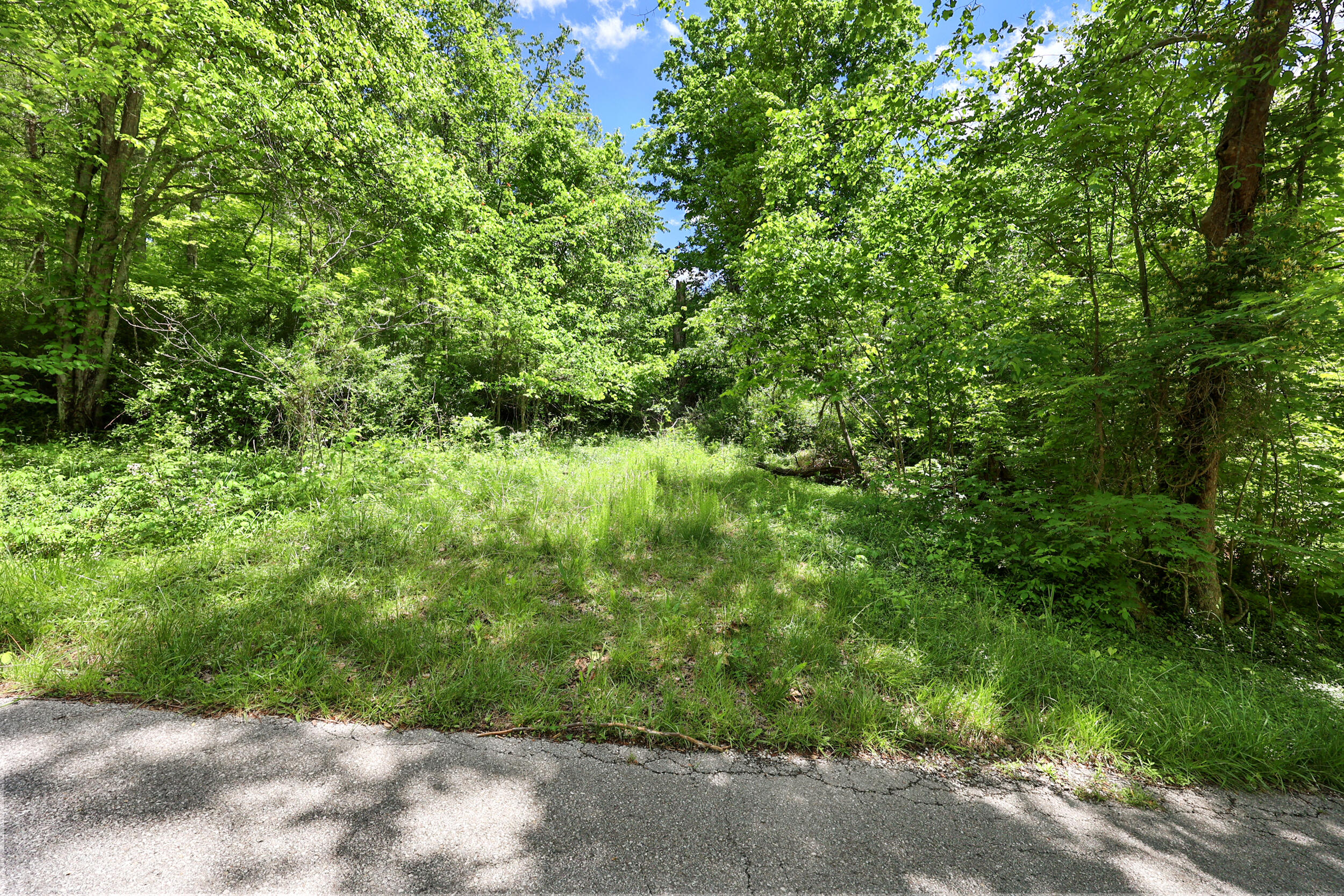 9999 Long Branch Road Property Photo 17