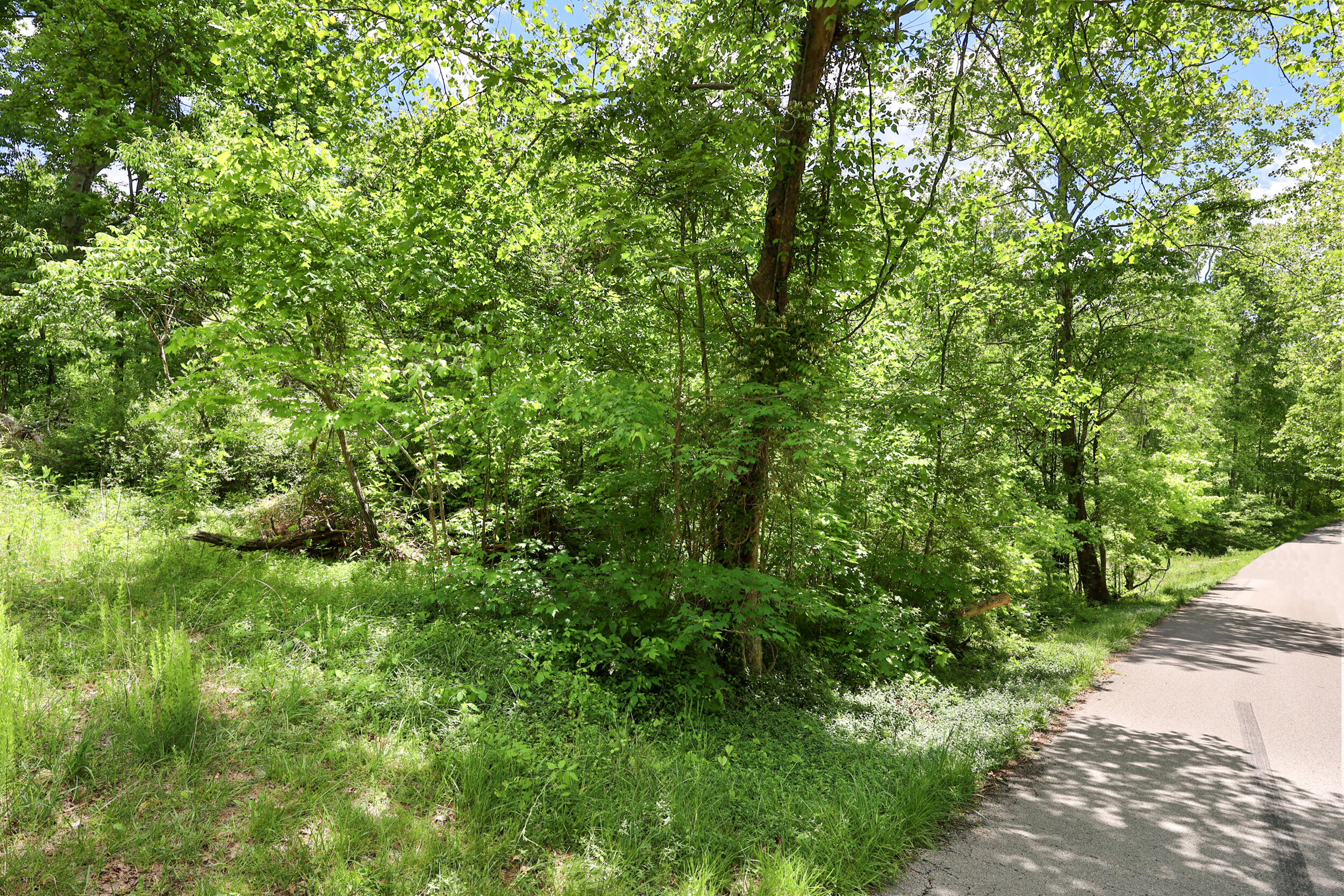 9999 Long Branch Road Property Photo 19