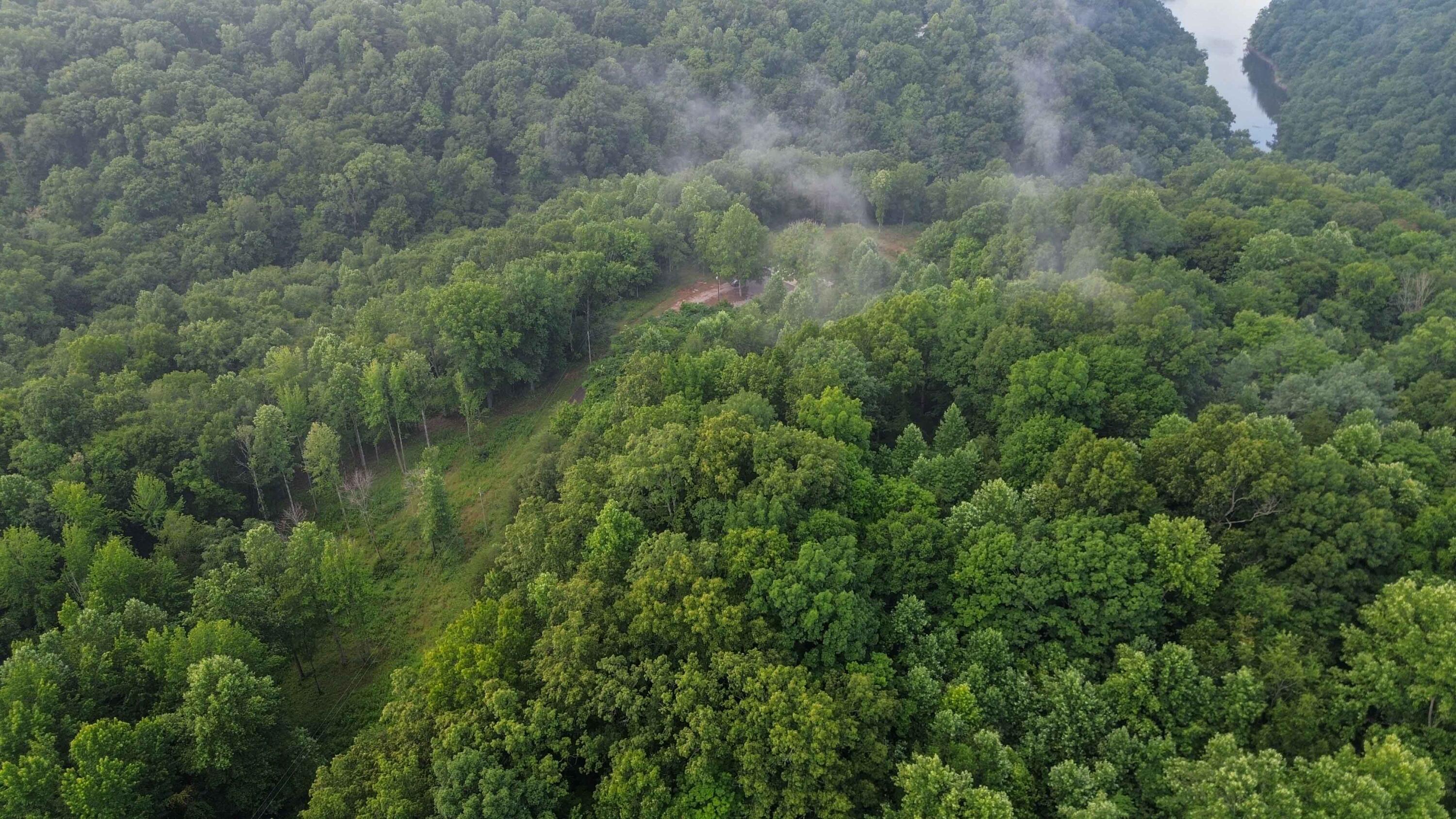 911 Bradley Road Property Photo 11