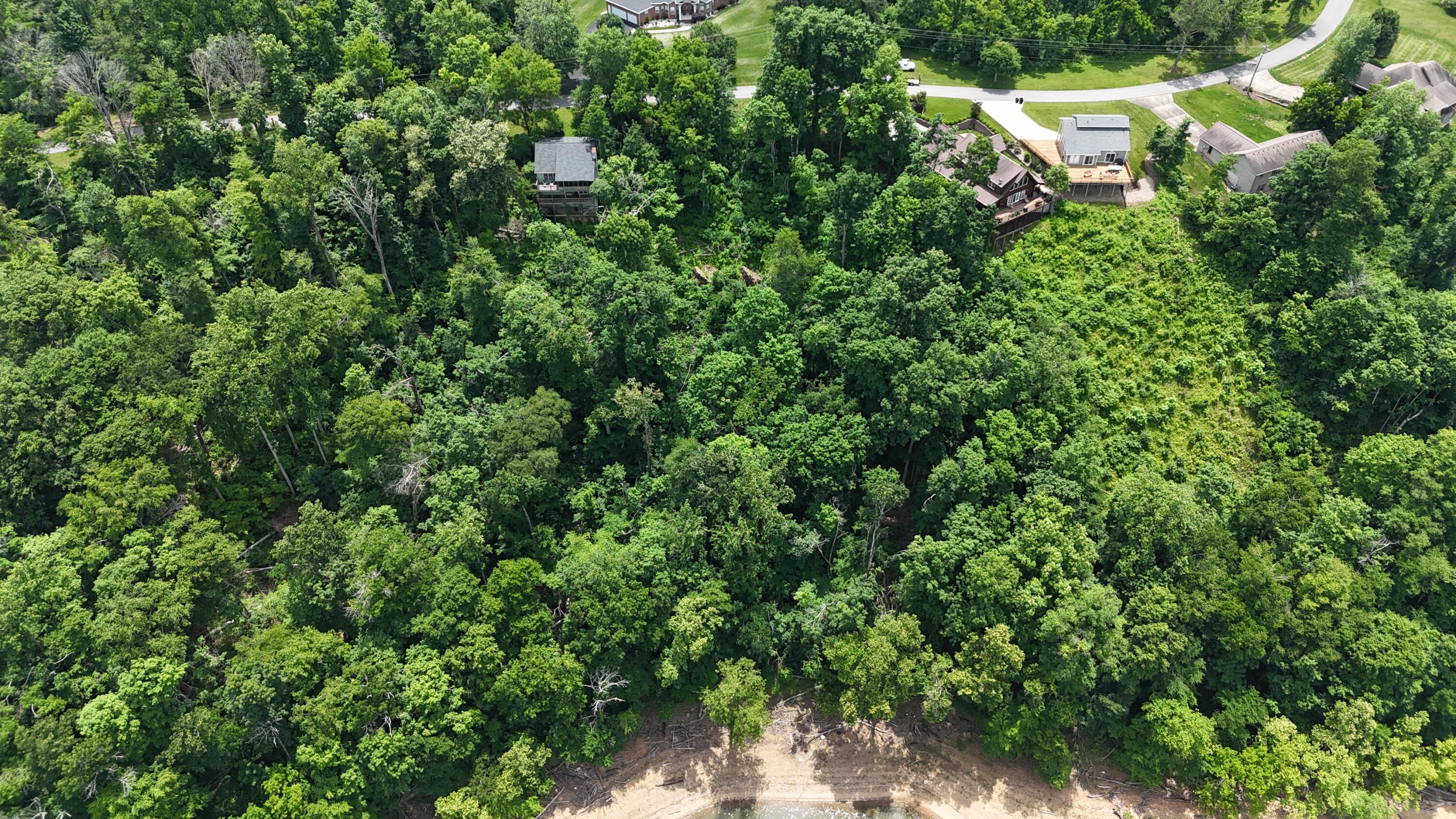Lot 7 View Point Subdivision Point Property Photo 2