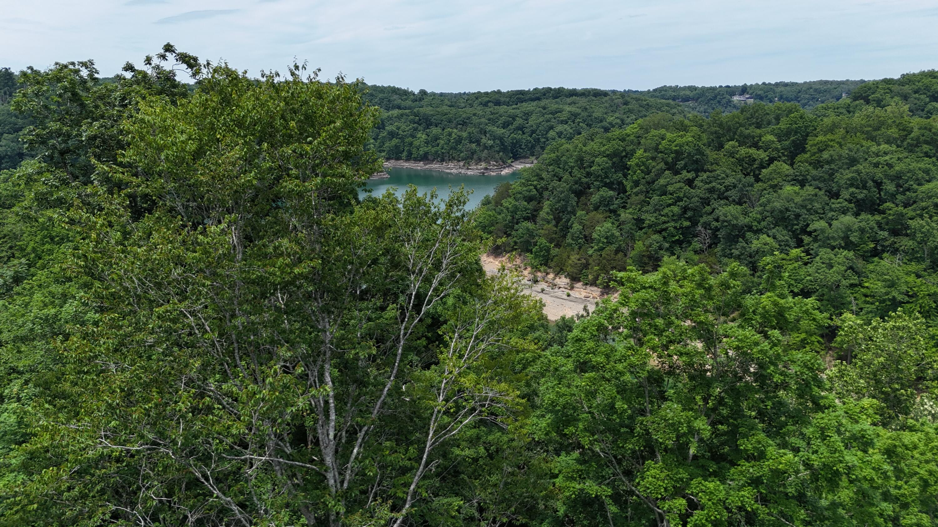 Lot 7 View Point Subdivision Point Property Photo 10