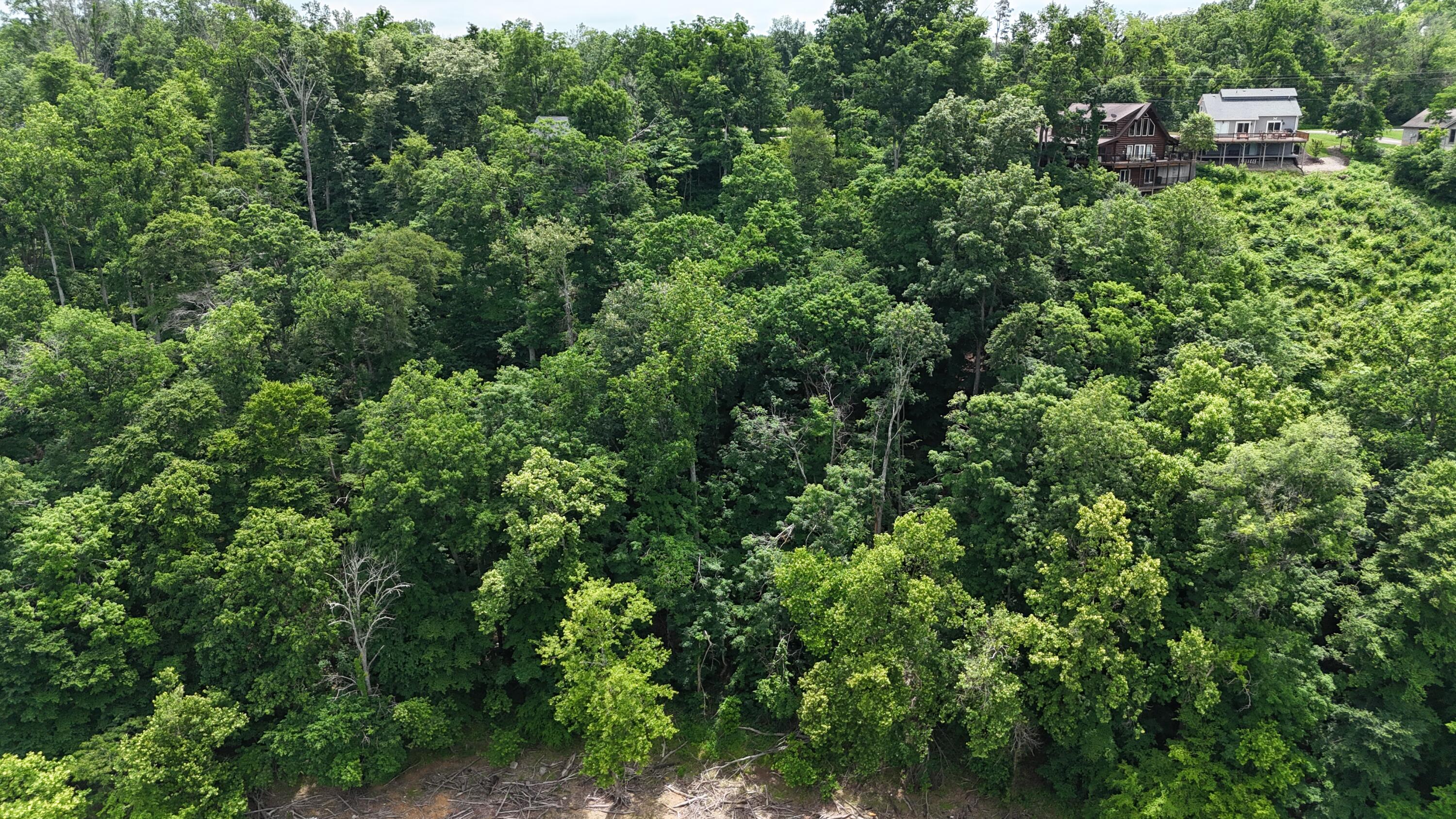 Lot 7 View Point Subdivision Point Property Photo 12