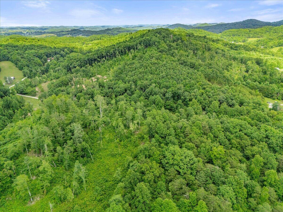 520 Gregory Tuttle Road Property Photo 10