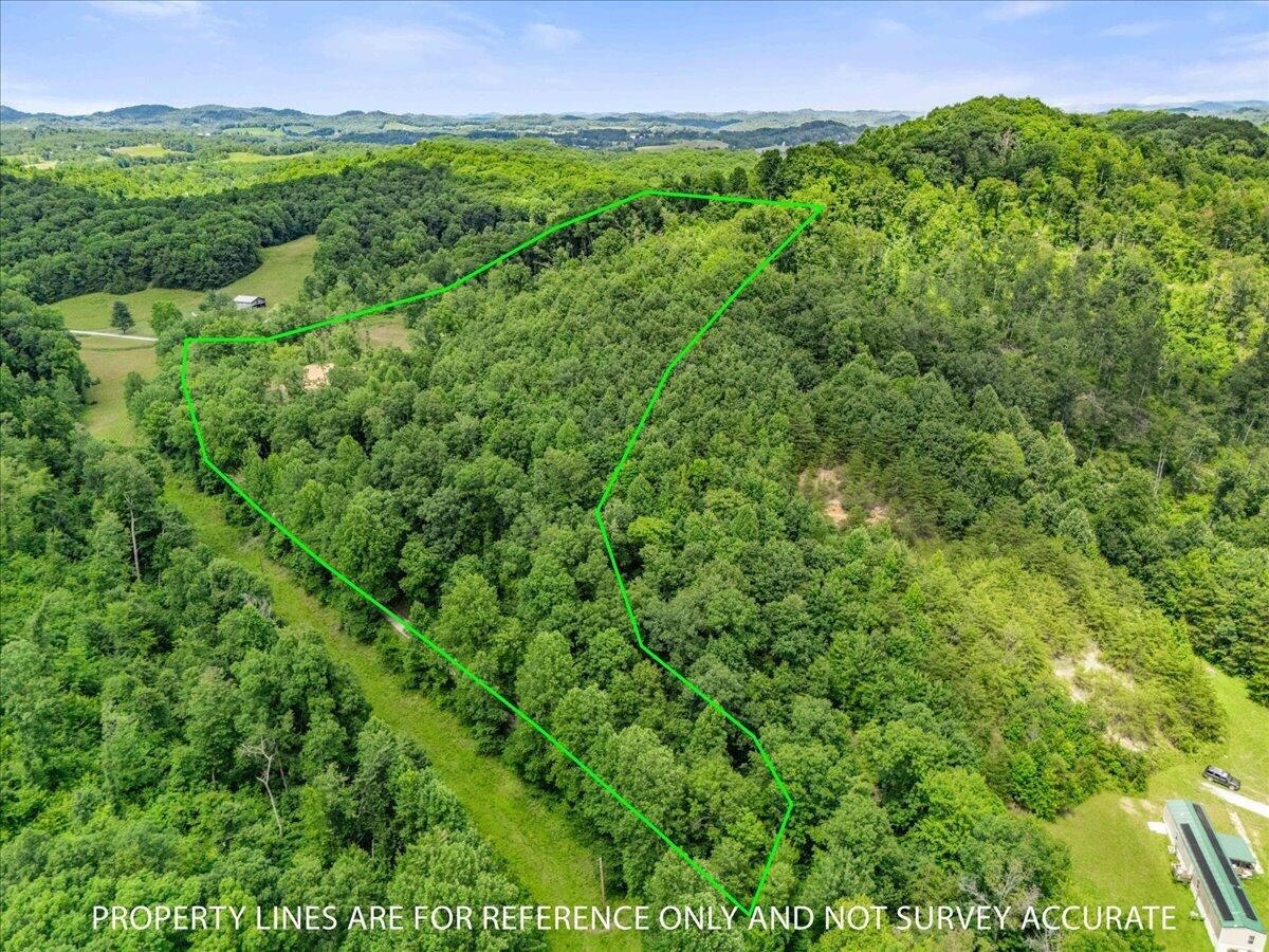 520 Gregory Tuttle Road Property Photo 13