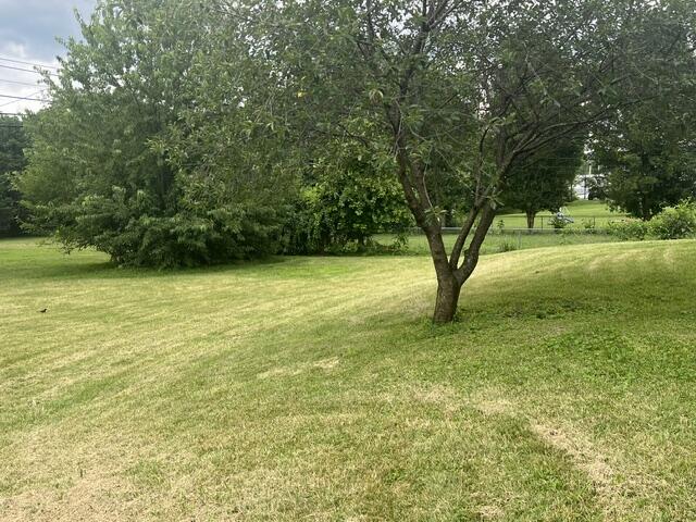418 Richmond Road Property Photo 25