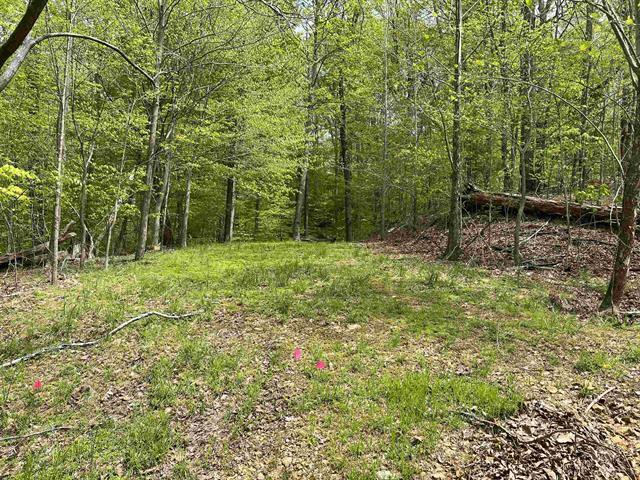 000 Blake Road Lot 39 & 40 Property Photo 1