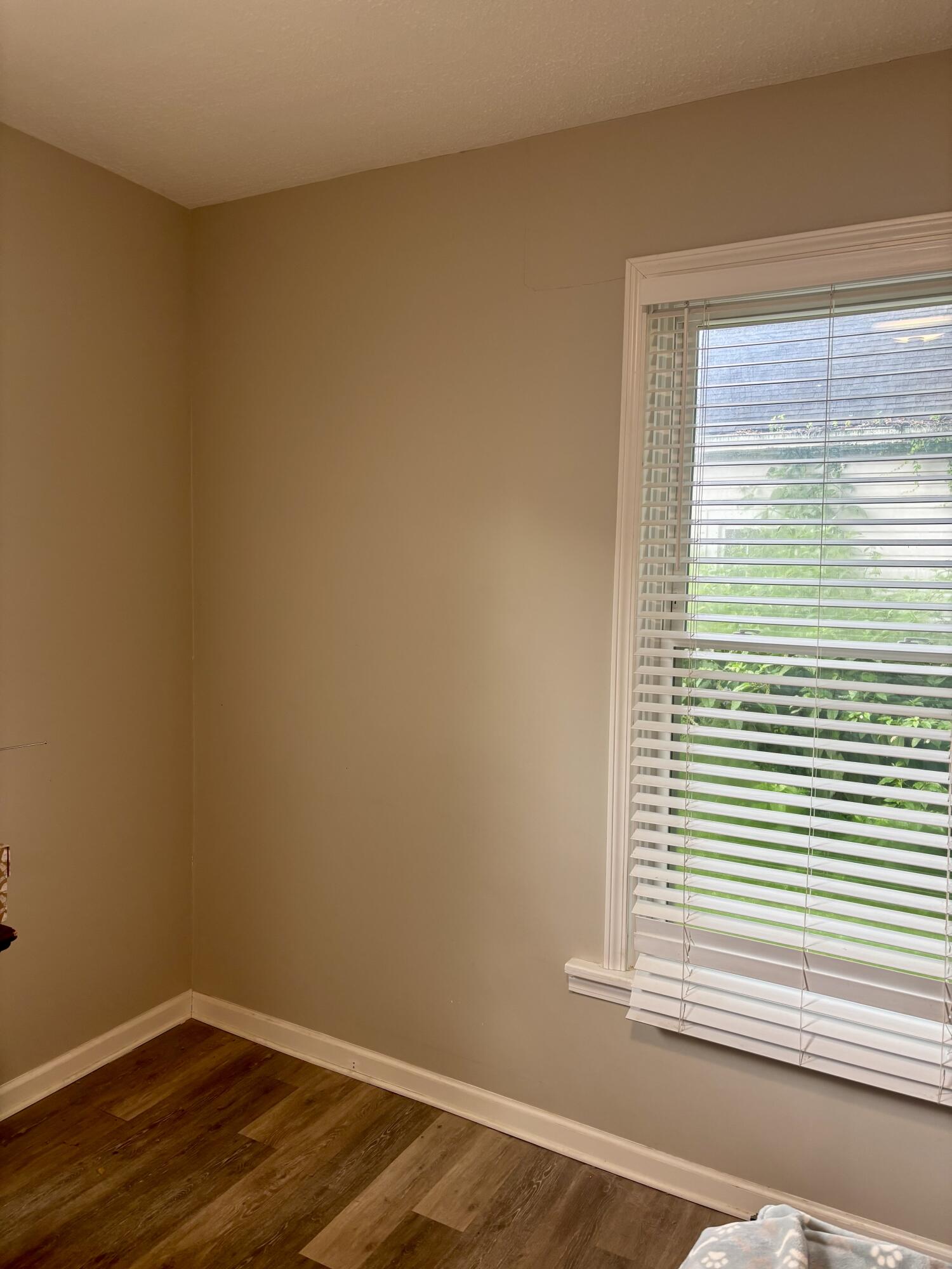 441 Chestnut Street Property Photo 11