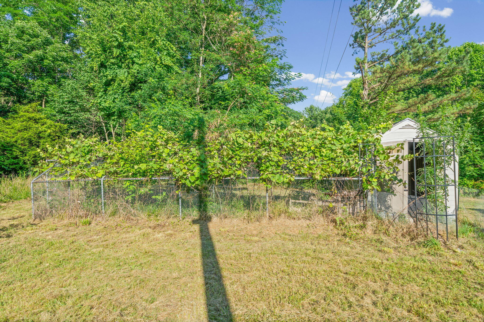 6190 Latham Road Property Photo 29