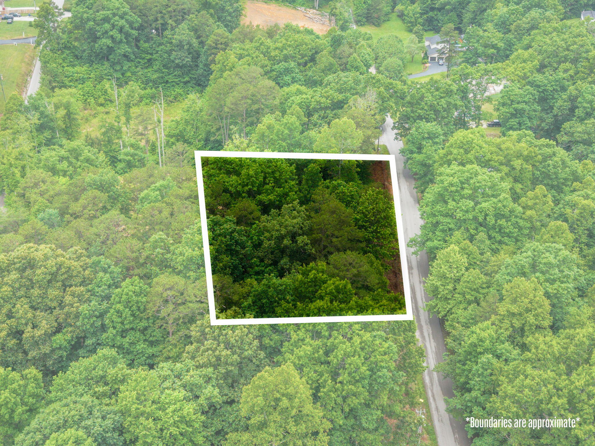 9999 Douglas Blvd Boulevard Property Photo 5