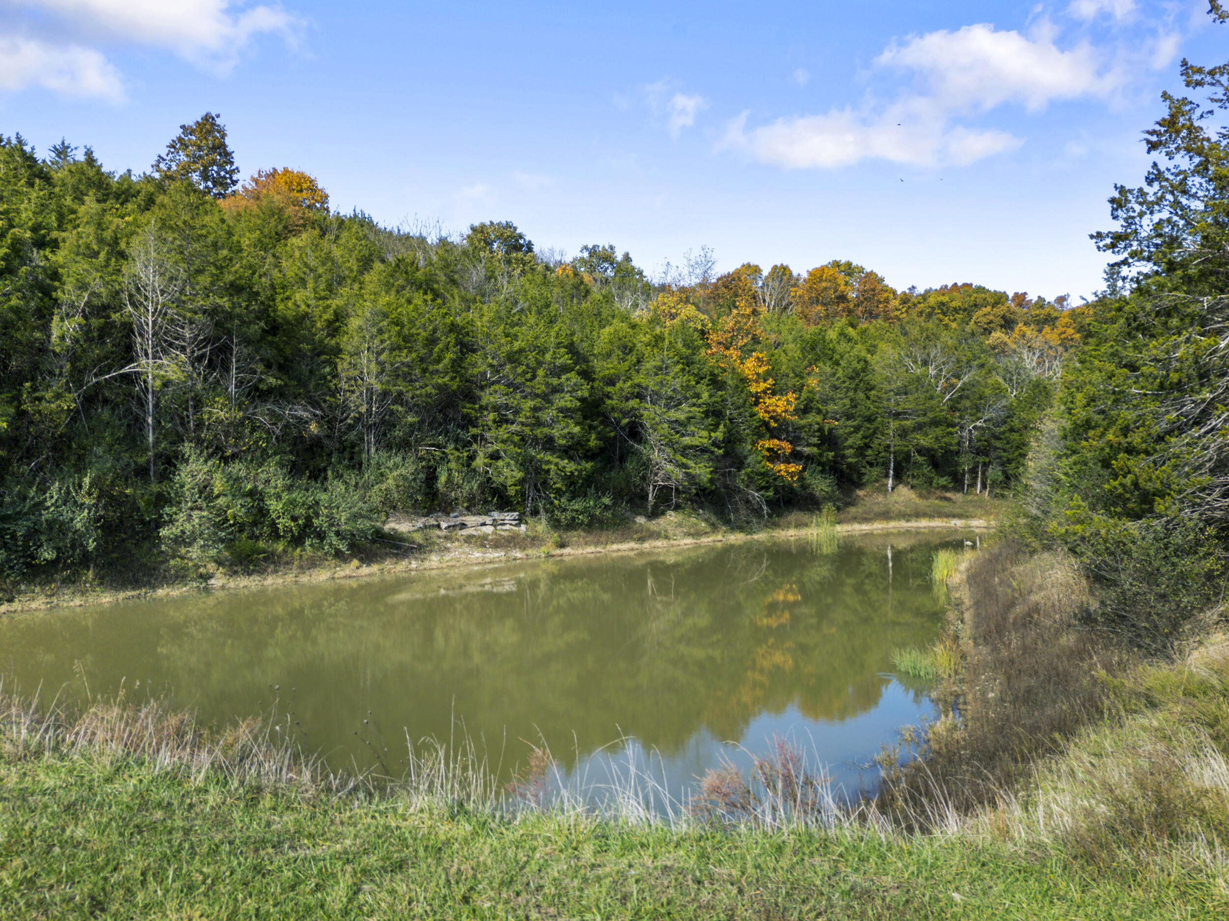 1281 Sharp Road Property Photo 3