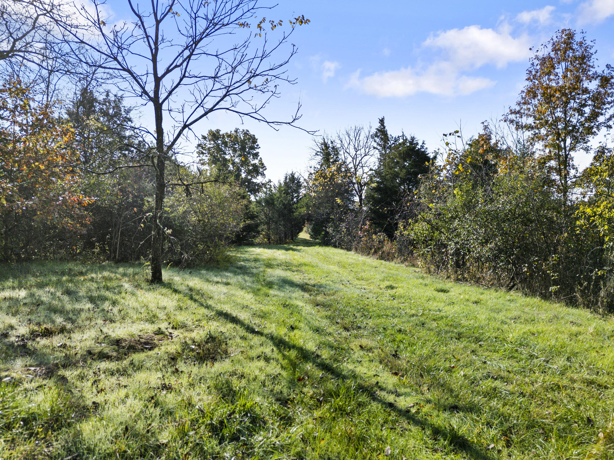 1281 Sharp Road Property Photo 81