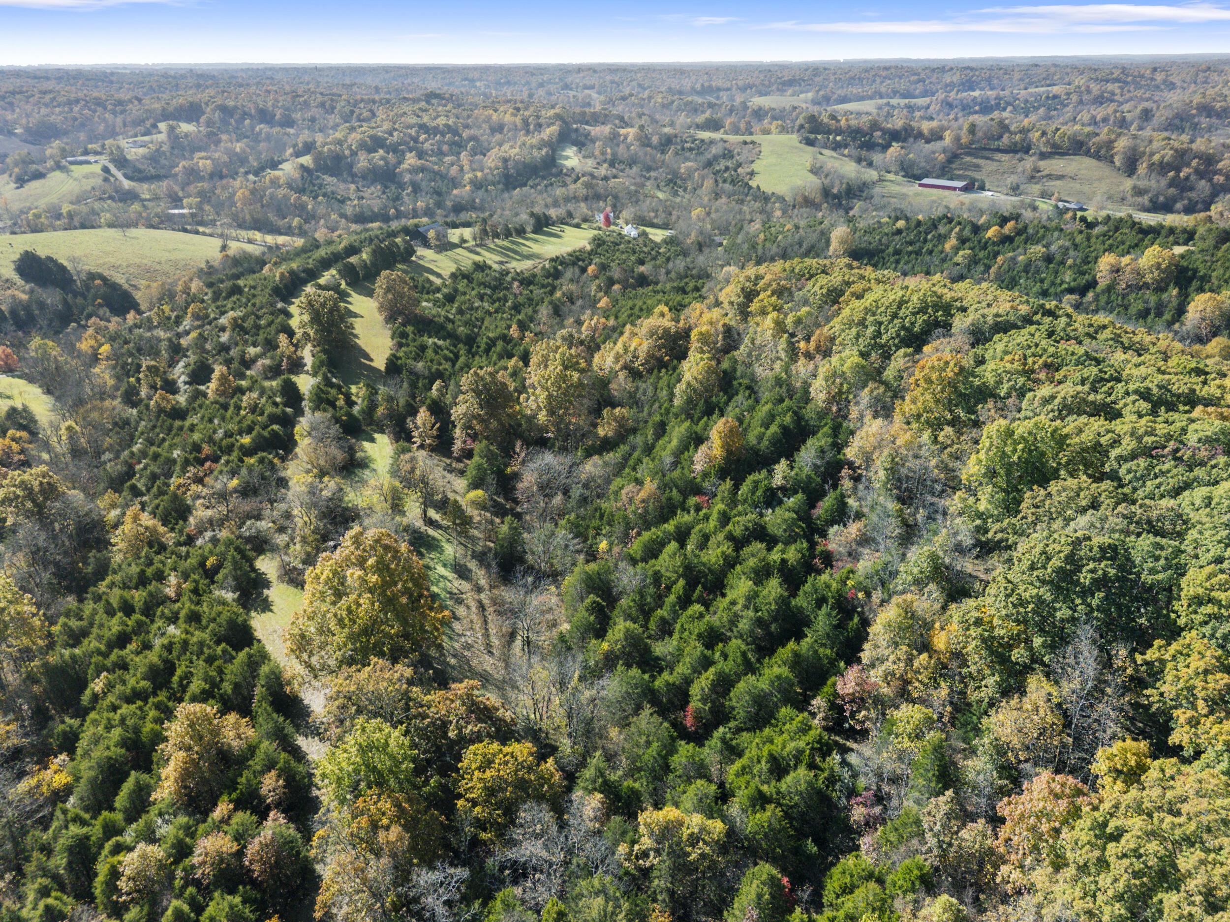 1281 Sharp Road Property Photo 89